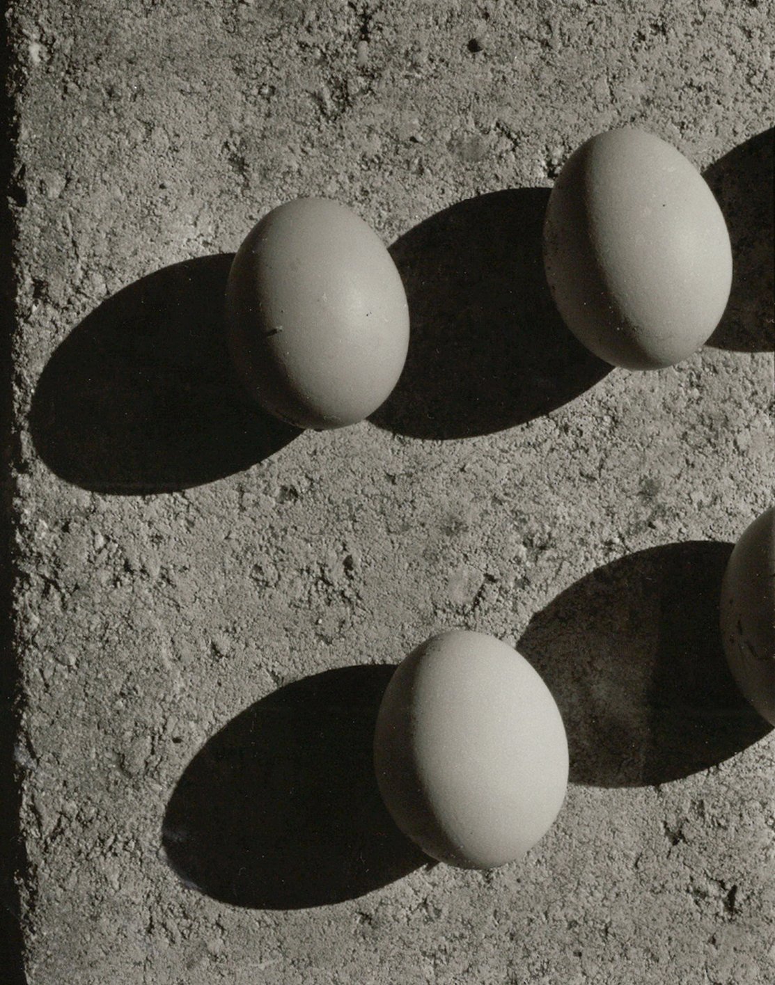StillLife_1.jpg