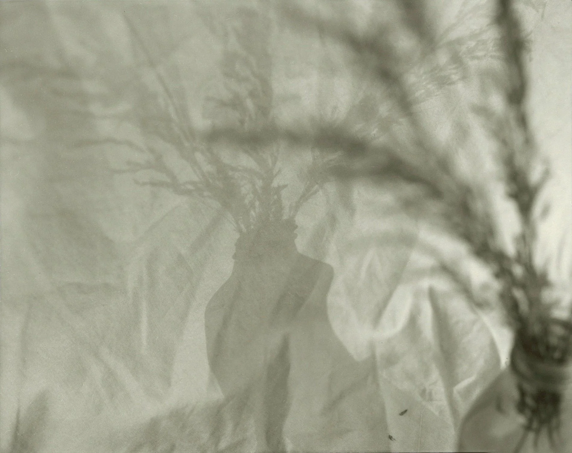 StillLife5.jpg