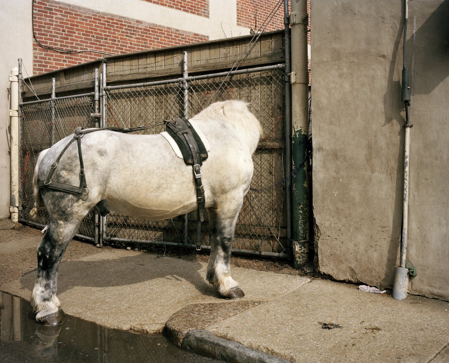 Lefrak-002.jpg