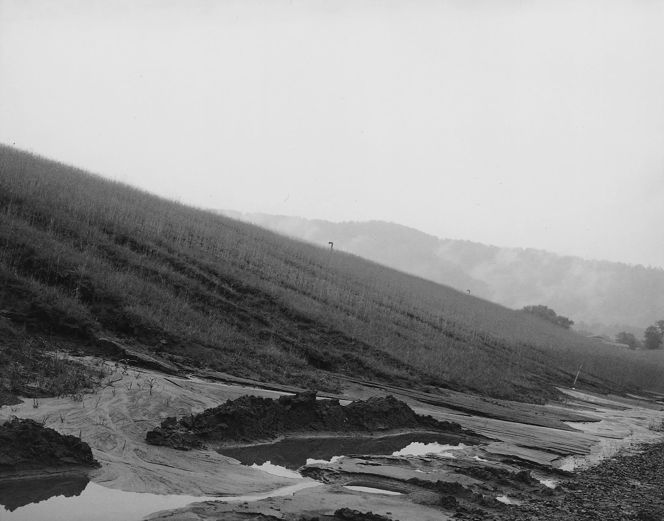 landfill_31-croppedGS lighter for web.jpg