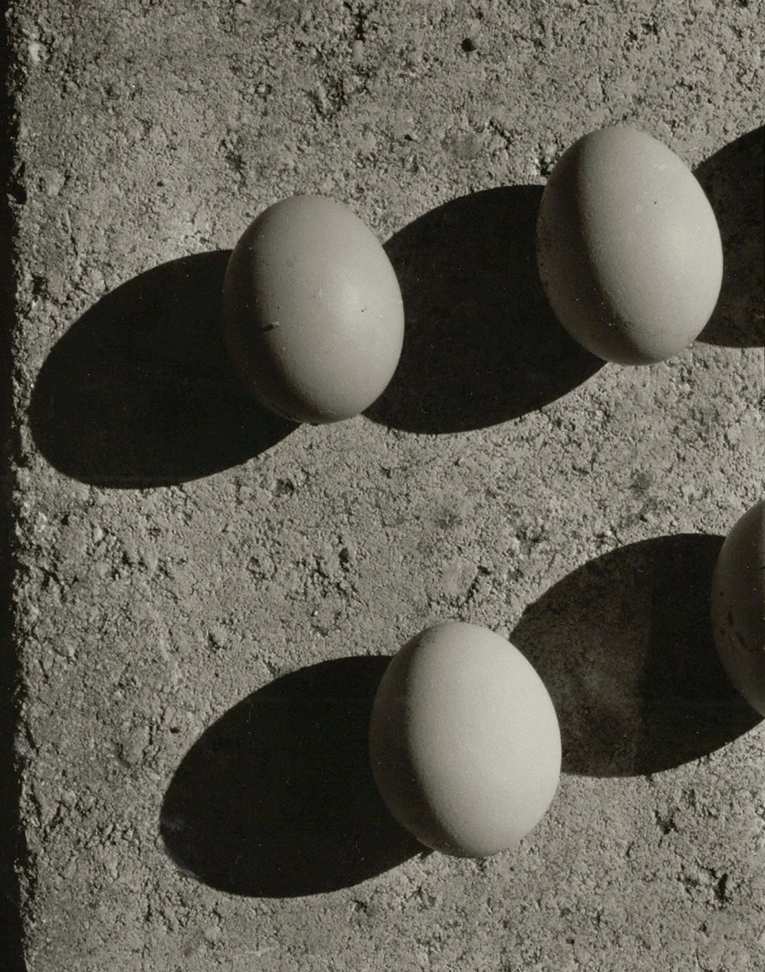 StillLife_1.jpg