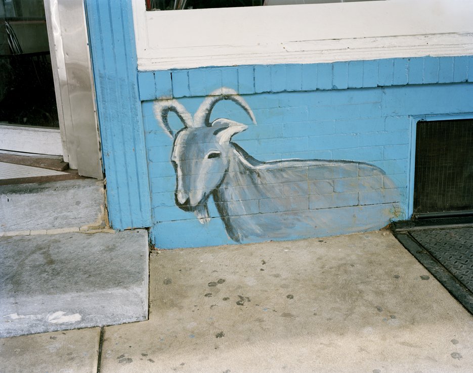 Goat-LoRes.jpg