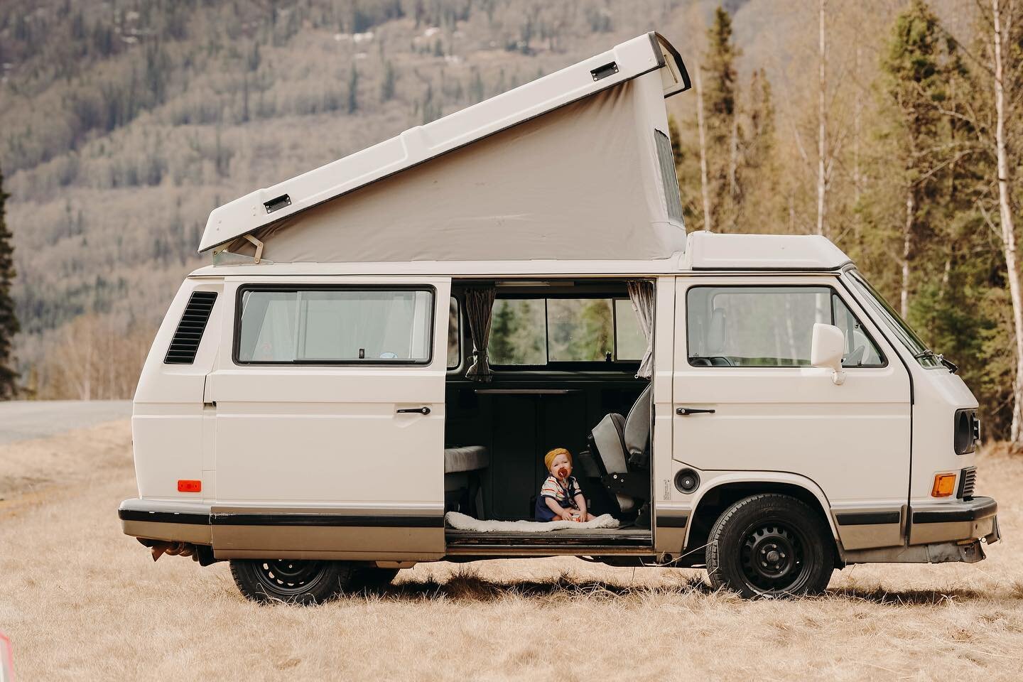 We love that so many of our renters this season have brought littles along for the adventure. We&rsquo;ve found that kids love Westys.. especially taking turns sleeping in the top bunk ☺️
📸: @colleenwallace_ 
🚌: Sourdough 

&bull;

&bull;

&bull;

