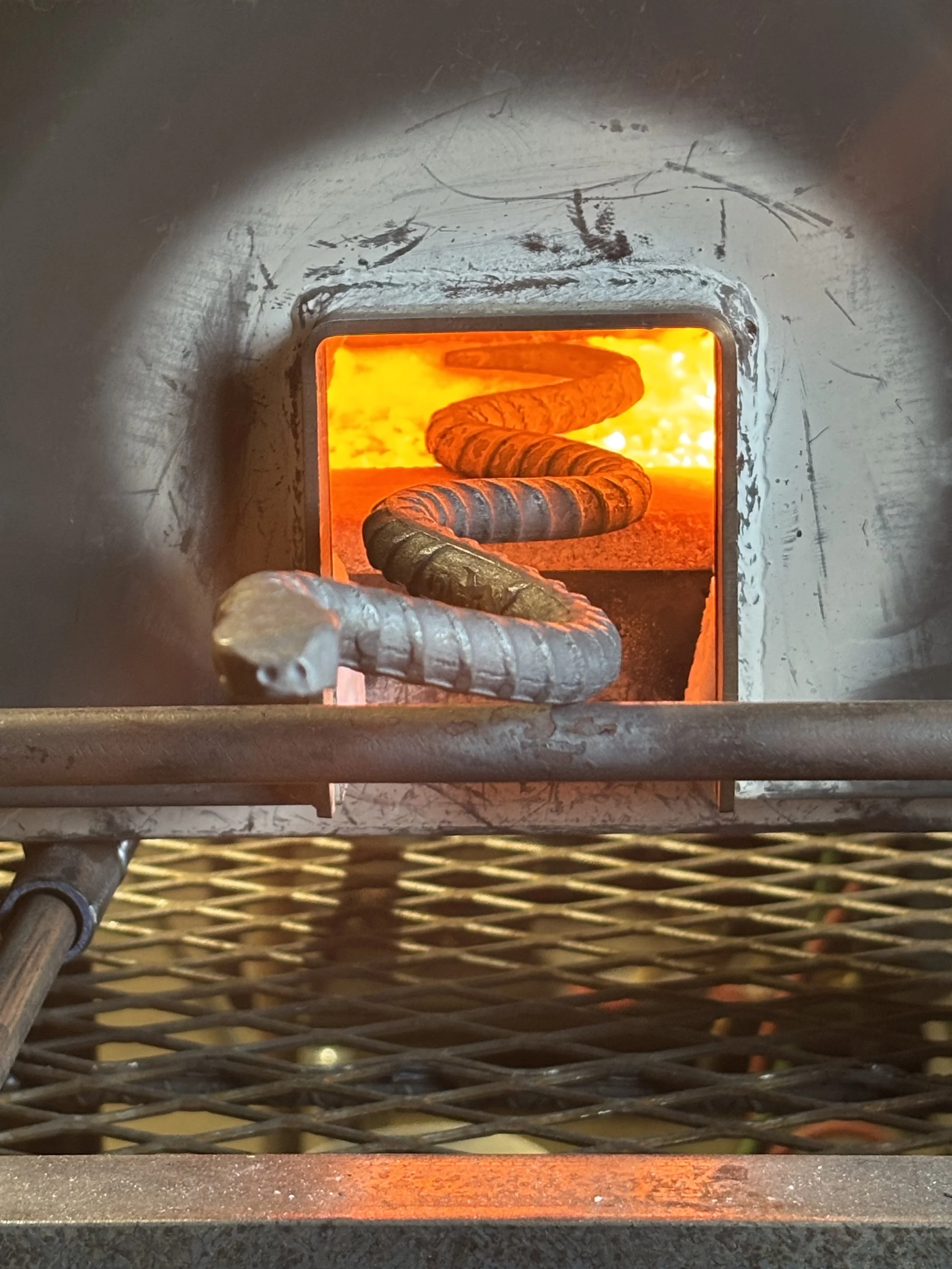 snake in forge.jpg