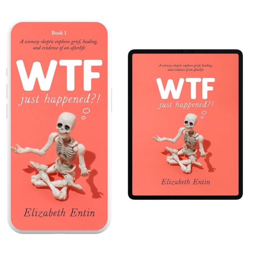 wtf just happened - book 1 tablet and iphone.jpg