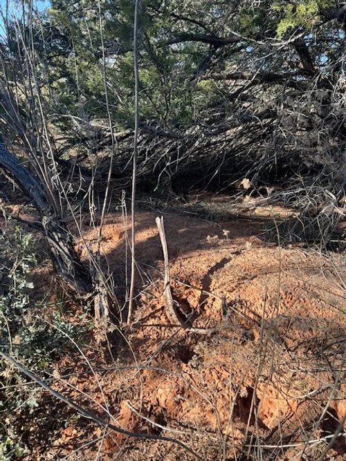 justin- paranormal1.jpeg