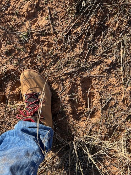 justin- paranormal2.jpeg