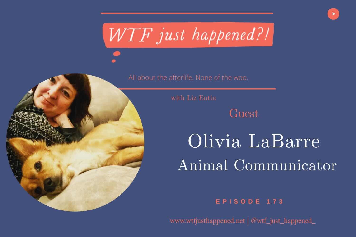 Your Pet Is Trying to Talk to You… Here’s How to Listen. | Animal Communicator Olivia LaBarre (Episode 173)