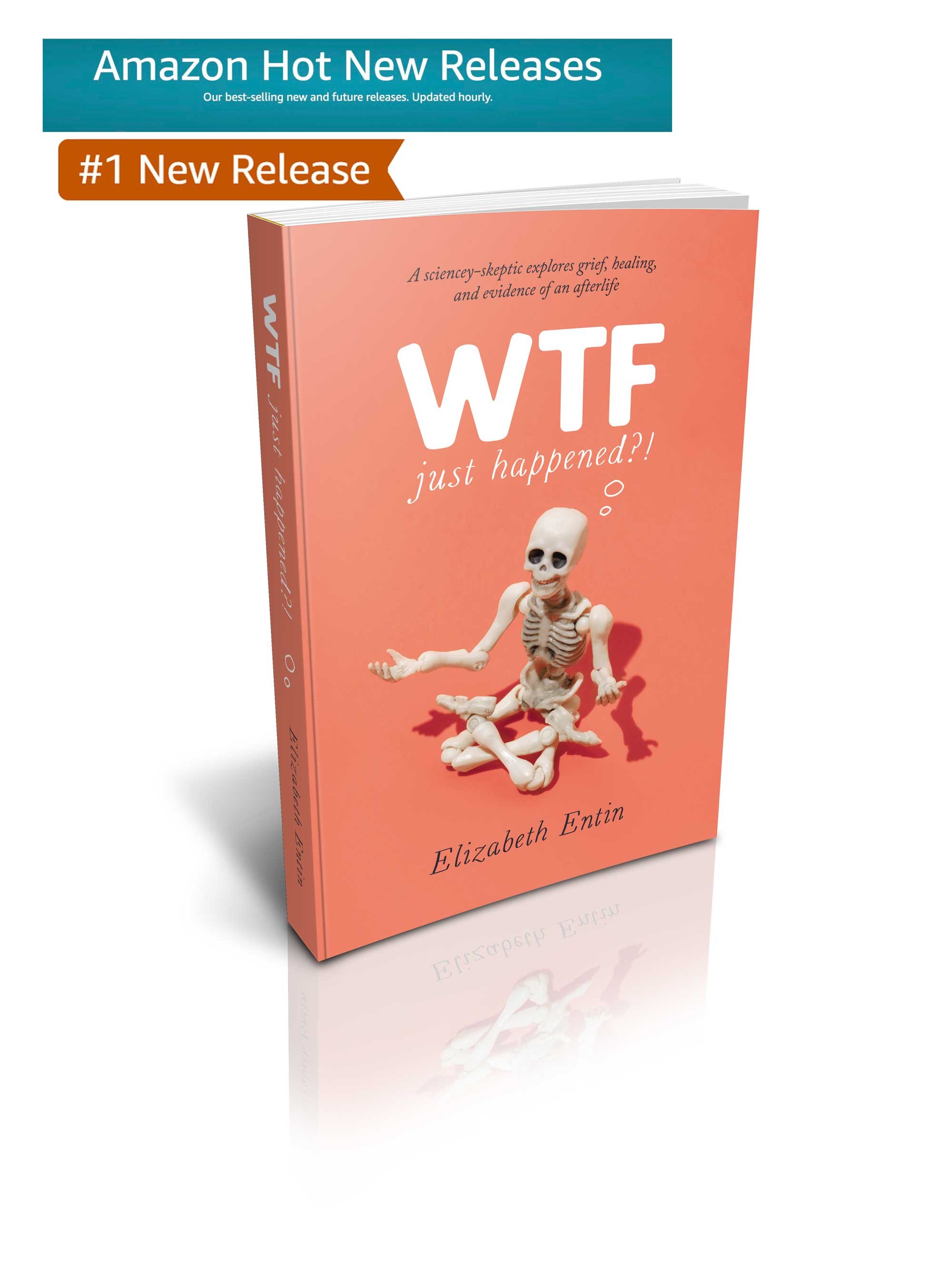 WTF Just Happened?! Book on Afterlife Evidence and Grief — WTF