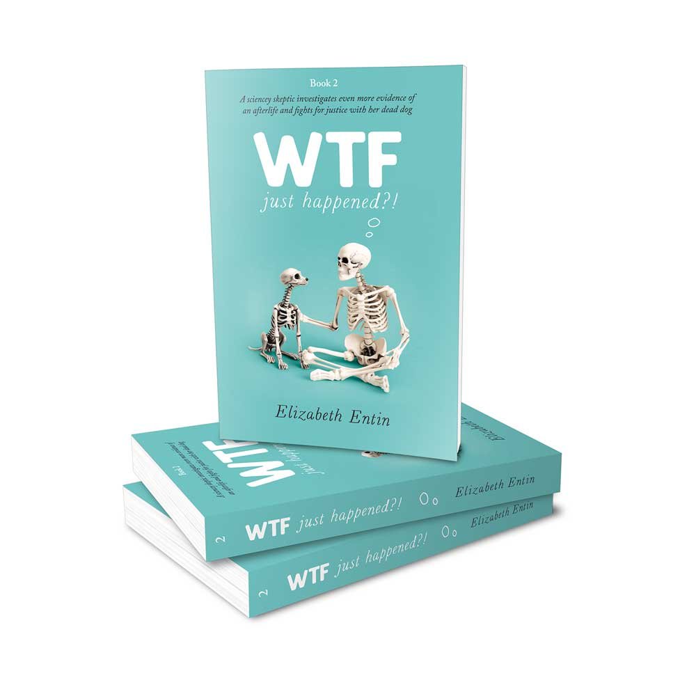 WTF-Book2-print-mockup-stack-white-small.jpg