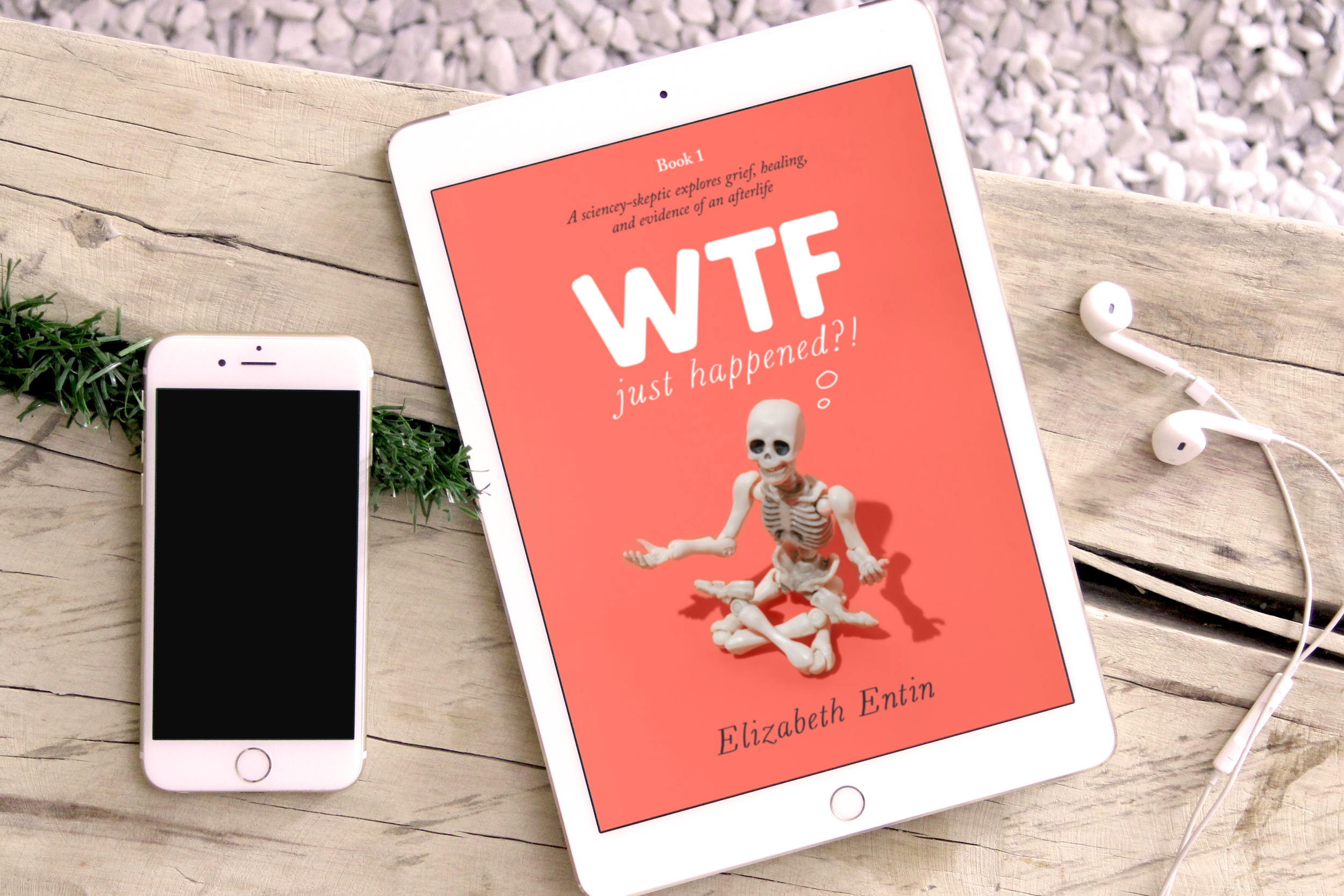 WTF-Book1-ebook-mockup-6.png