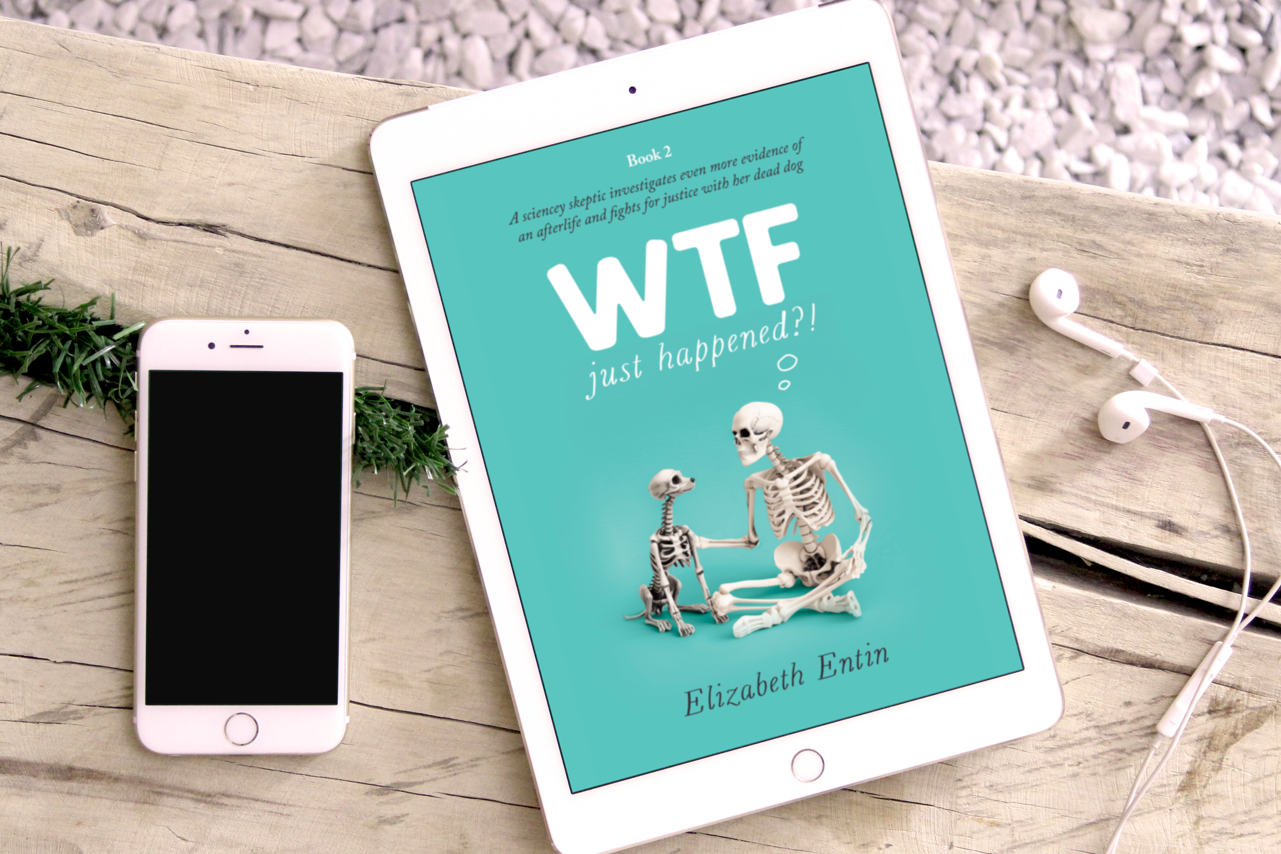 WTF-Book2-ebook-mockup-4.png