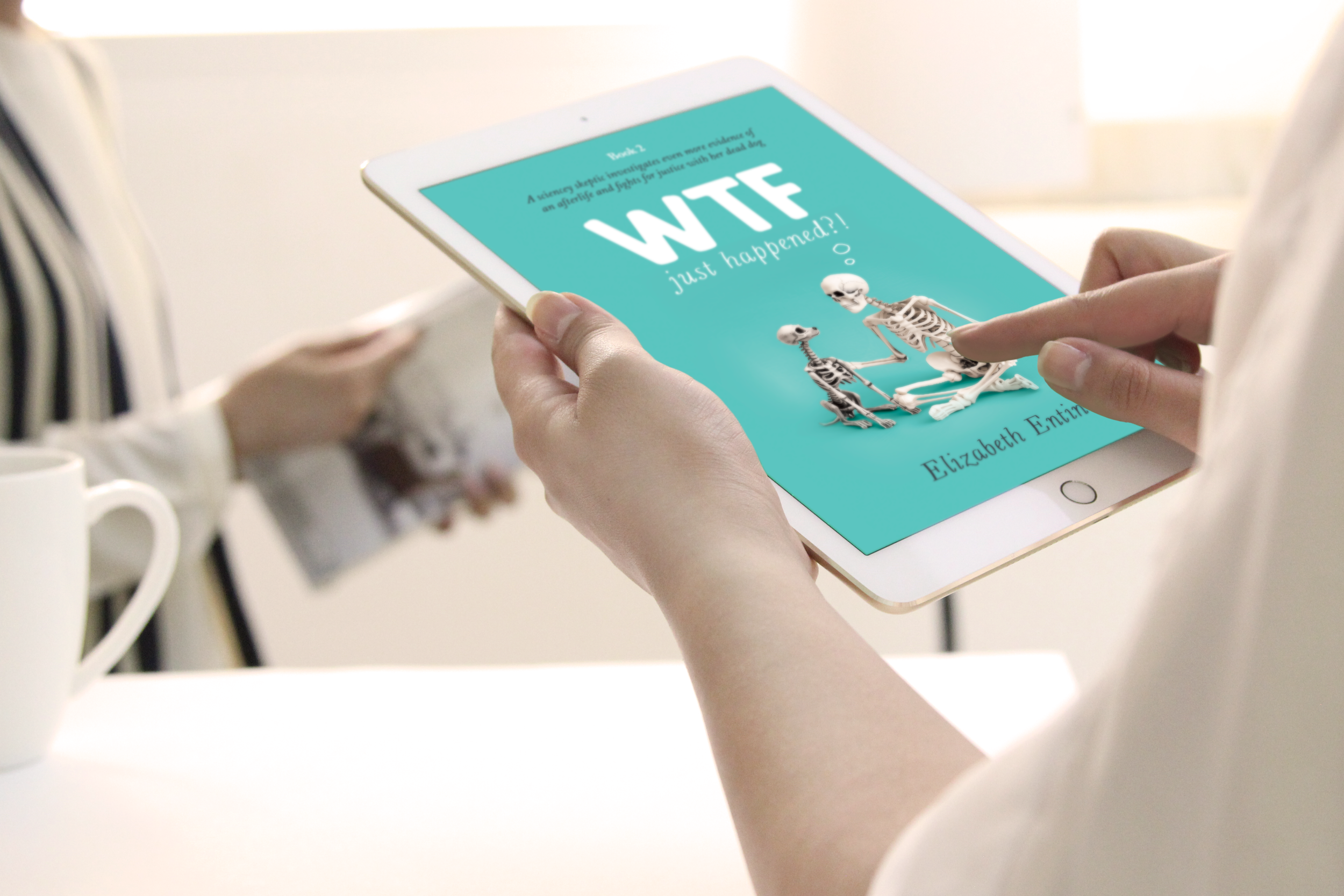 WTF-Book2-ebook-mockup-5.png