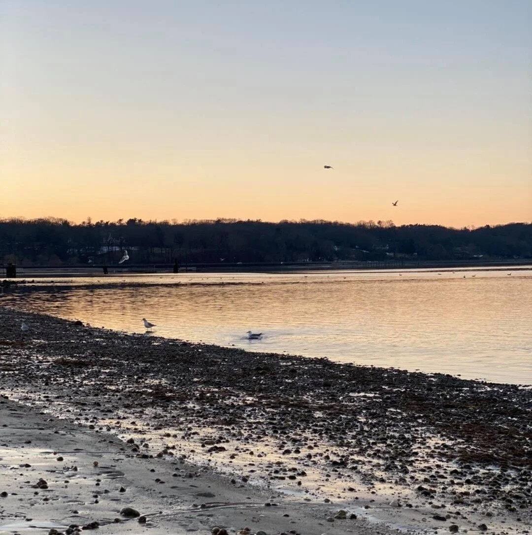 &ldquo;Organizing is not a character flaw, it&rsquo;s a habit&rdquo; -Julie Morgenstern
.
.
.
#ajoyfulnewspace #ajns #organization #professionalorganizer #organized #organizer #organizedliving #happy #healthy #getorganized