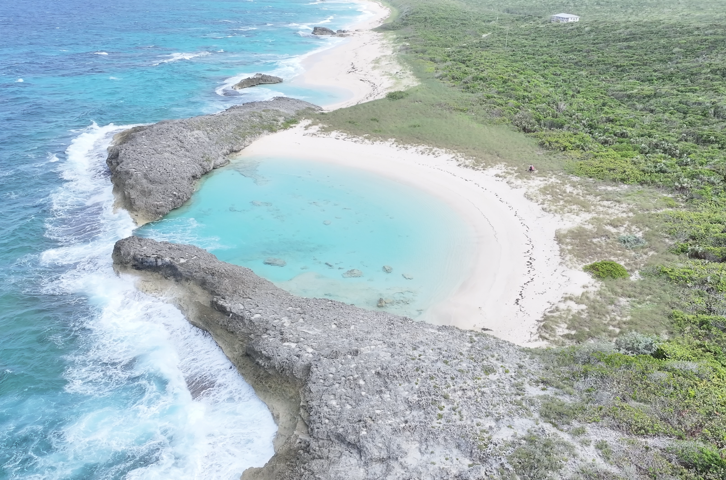 Screenshot 2026-02-04 at 08.30.39.png