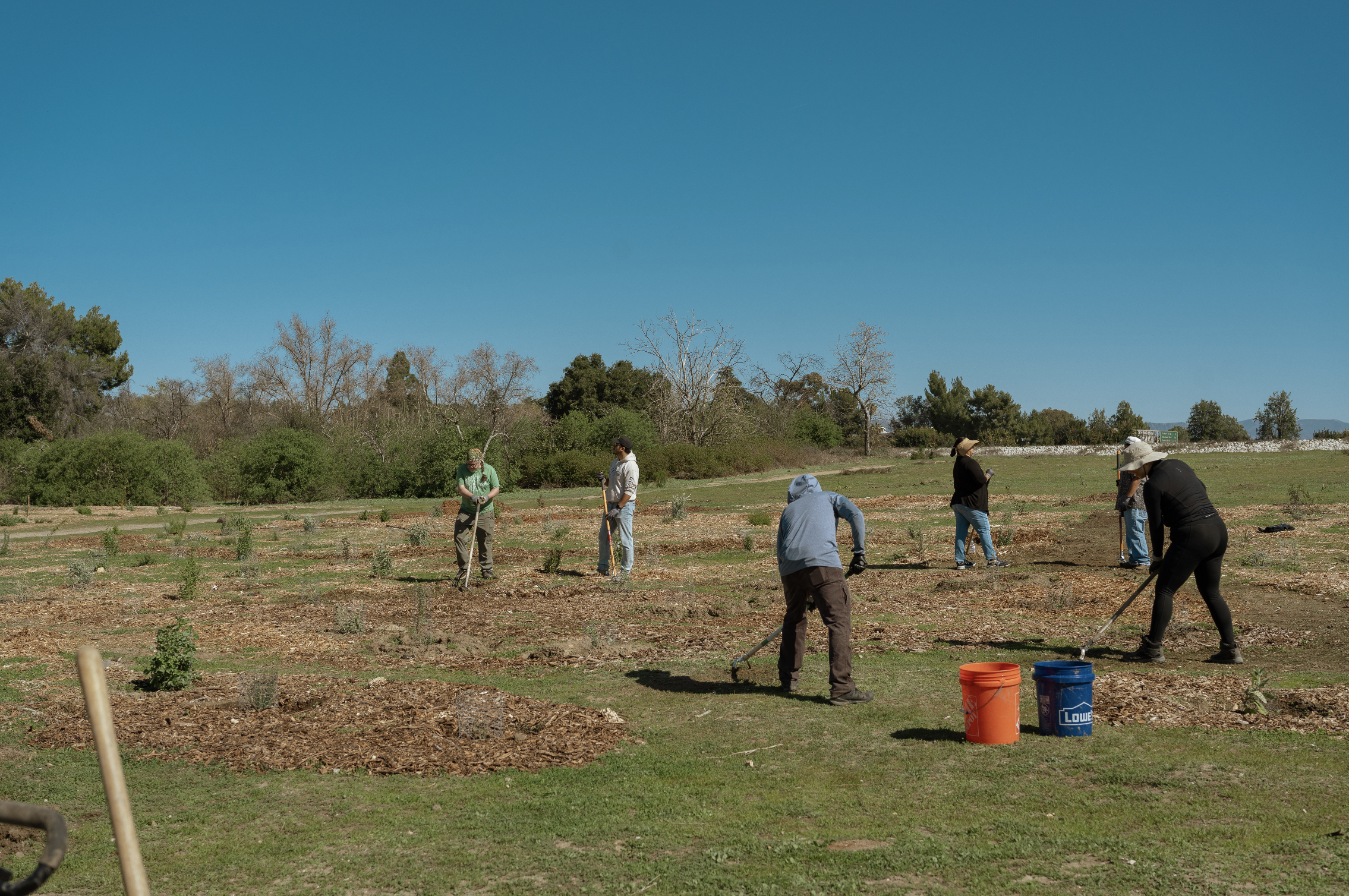 Volunteer Opportunity: Restoration at the Sepulveda Basin Wildlife Reserve