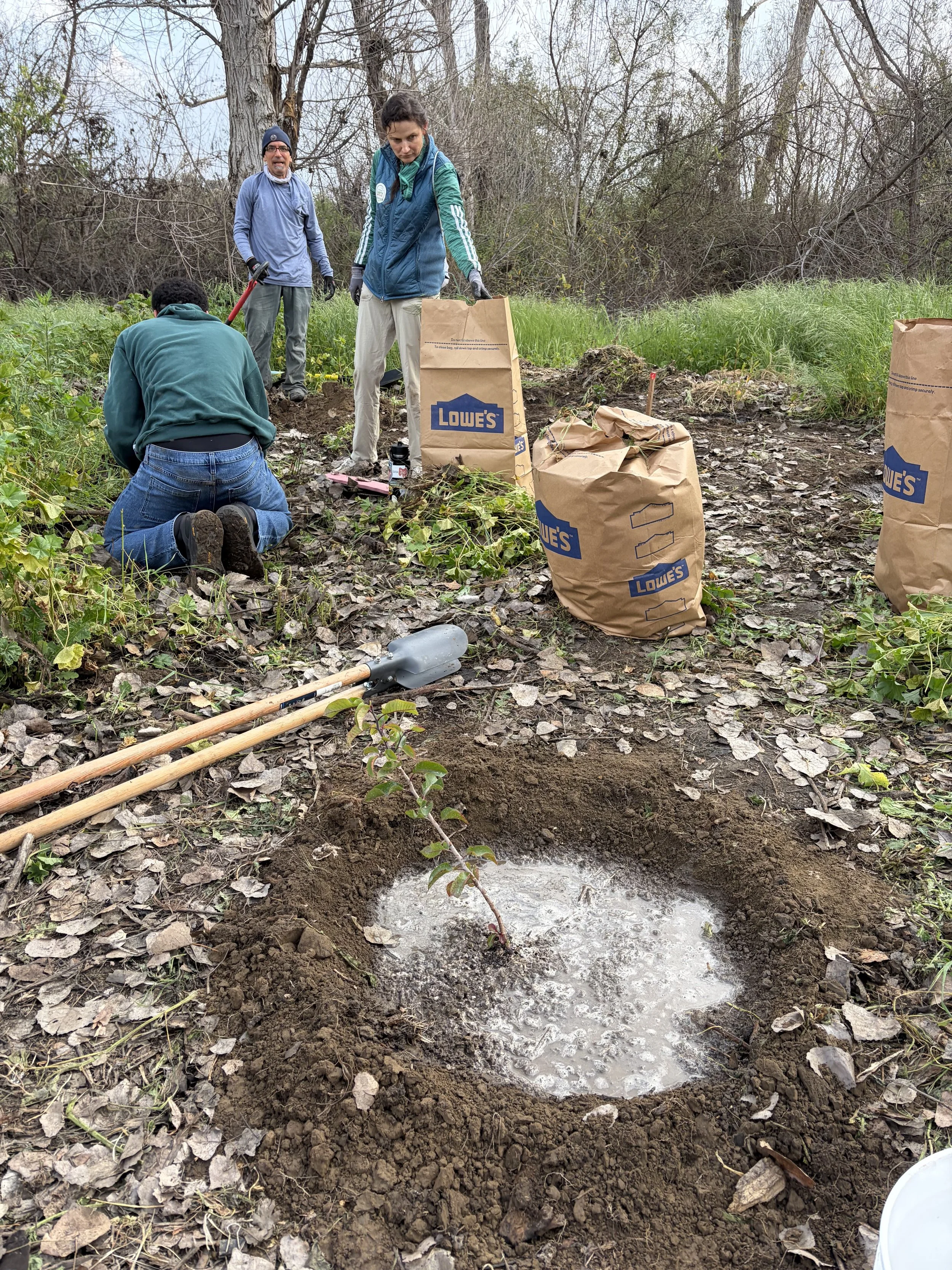 Volunteer Opportunity: Native Plant Planting at the Sepulveda Basin Wildlife Reserve 