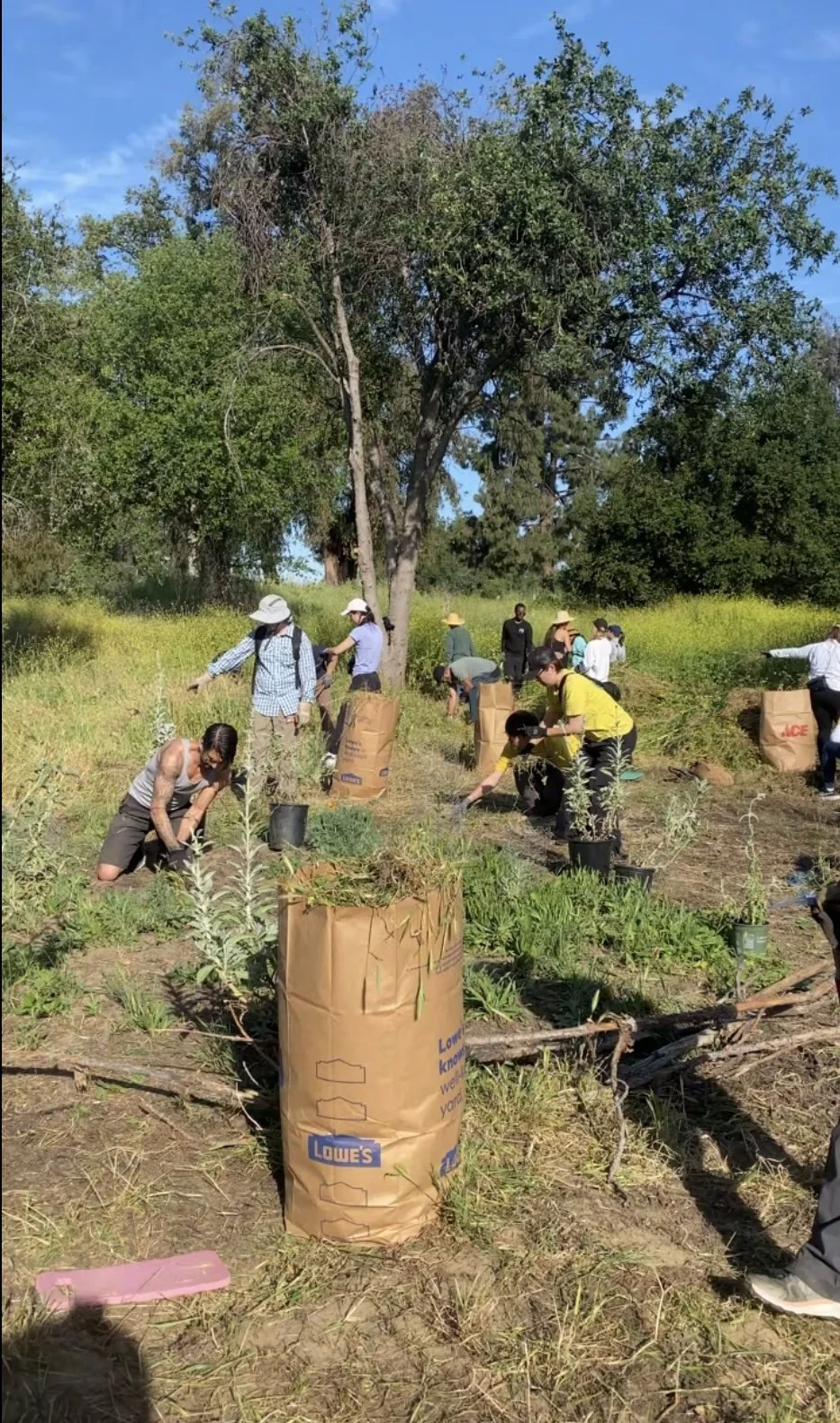 Volunteer Opportunity: Habitat Restoration day at the Sepulveda Basin Wildlife Reserve