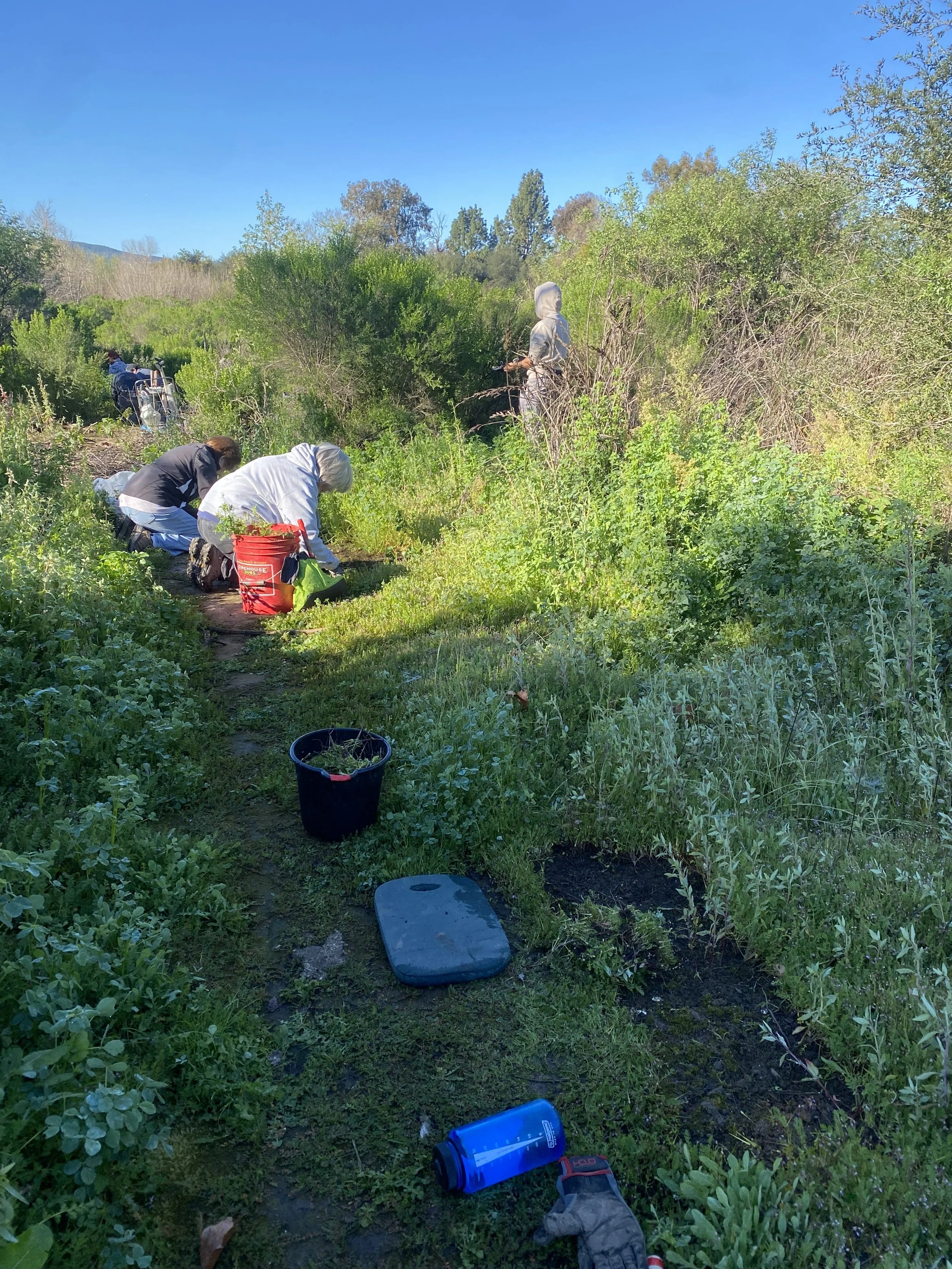 Volunteer Opportunity: Restoration at the Sepulveda Basin Wildlife Reserve