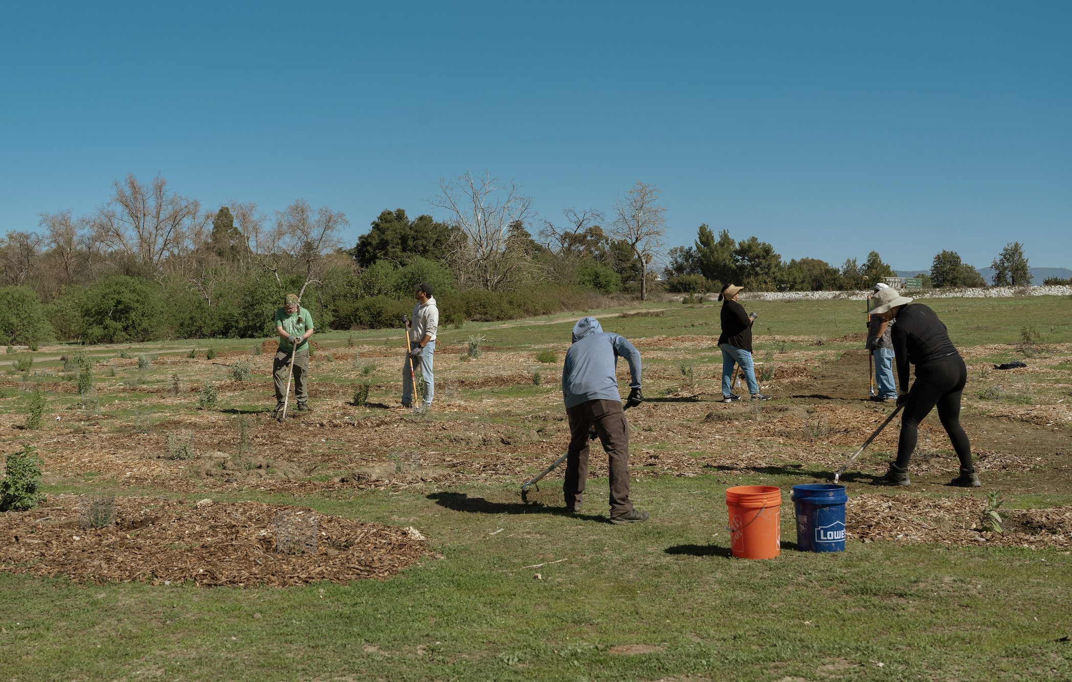 Volunteer Opportunity: Restoration at the Sepulveda Basin Wildlife Reserve