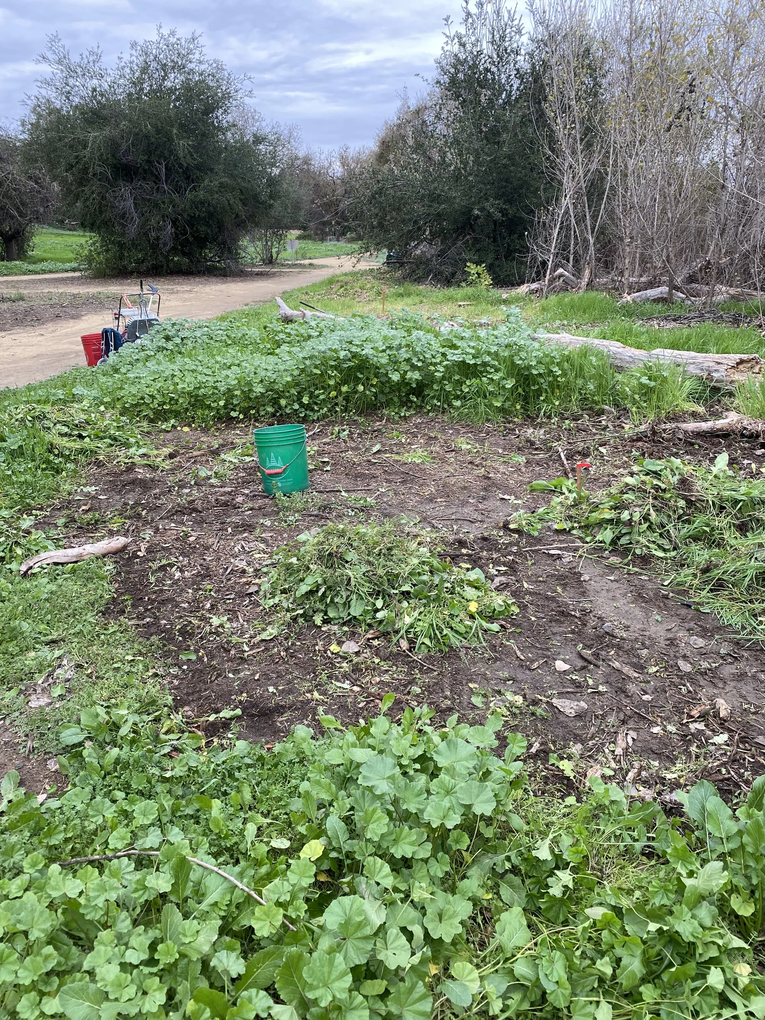Volunteer Opportunity: Restoration at the Sepulveda Basin Wildlife Reserve