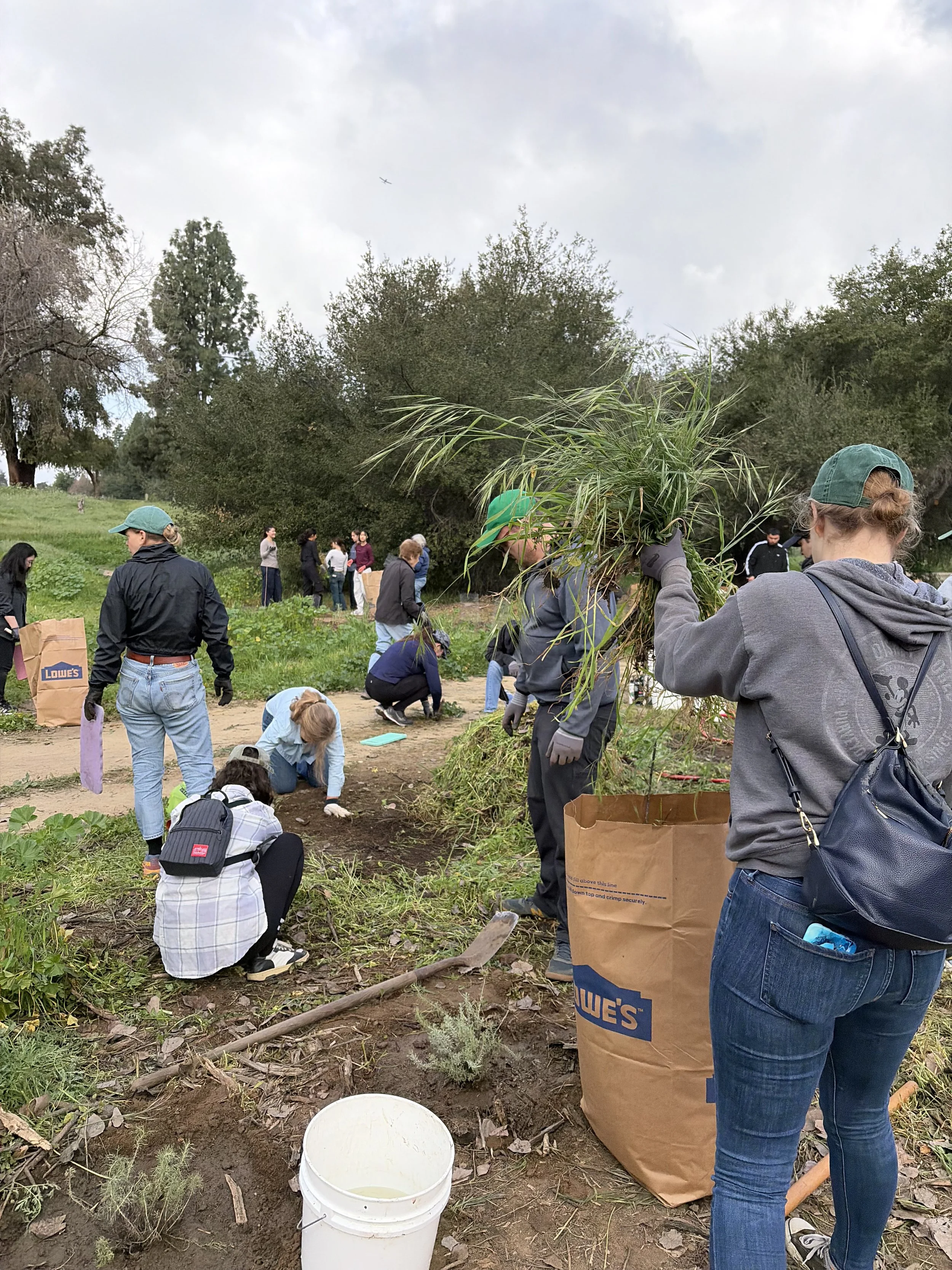 Volunteer Opportunity: Restoration at the Sepulveda Basin Wildlife Reserve