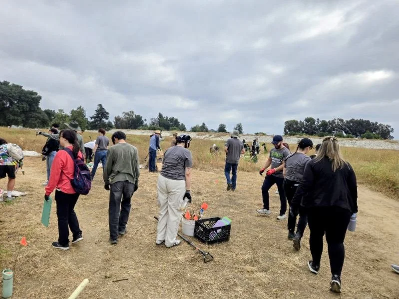 Volunteer Opportunity: Habitat Restoration day at the Sepulveda Basin Wildlife Reserve