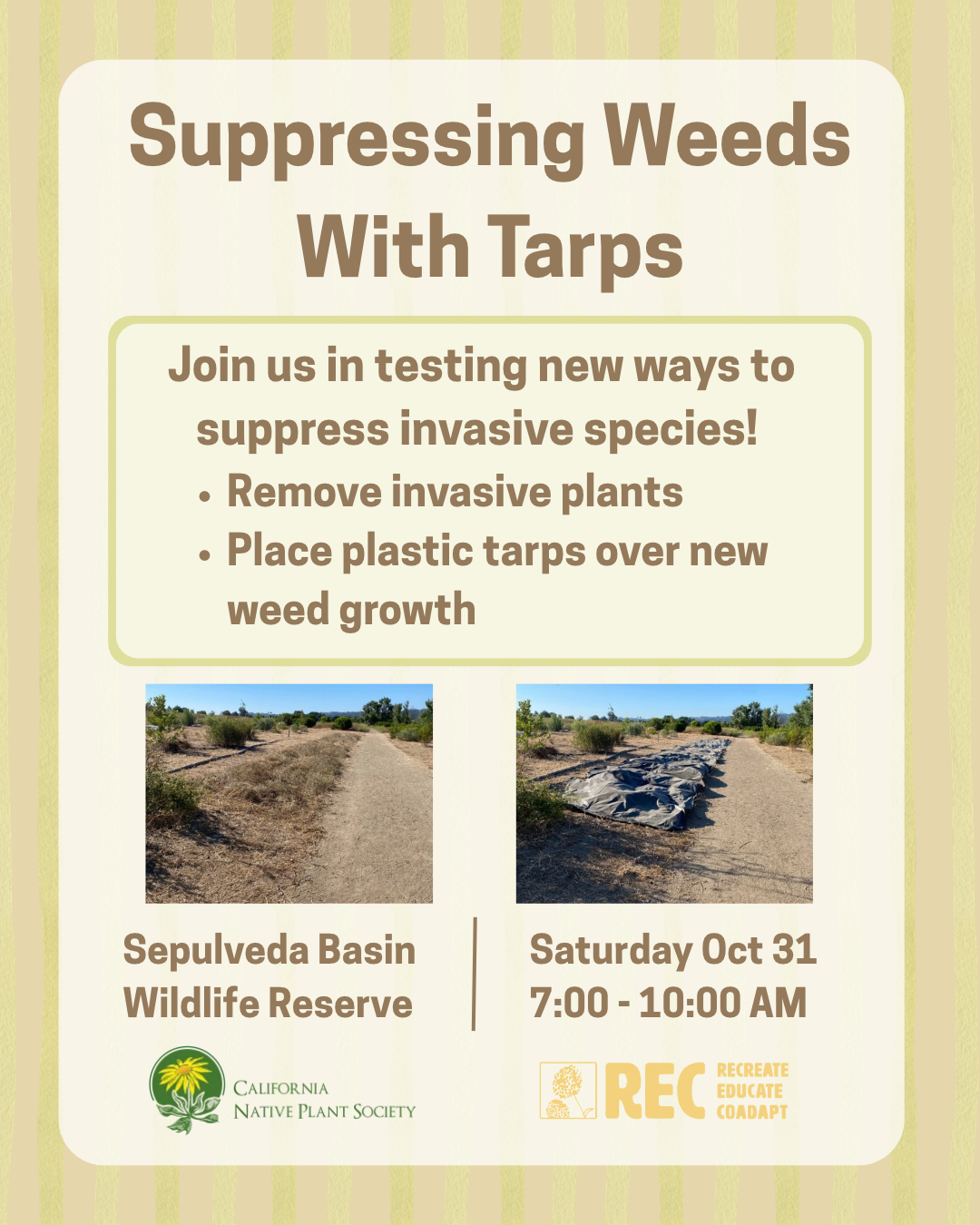 Volunteer Opportunity: Restoration at the Sepulveda Basin Wildlife Reserve