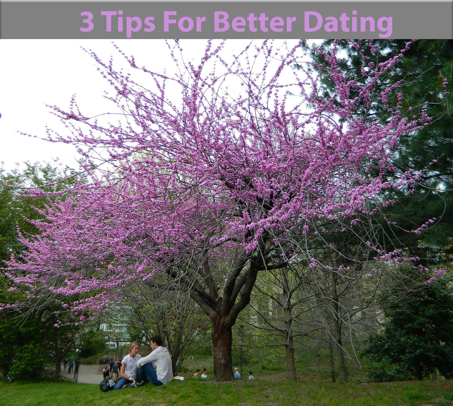 3 steps to better dating.jpg
