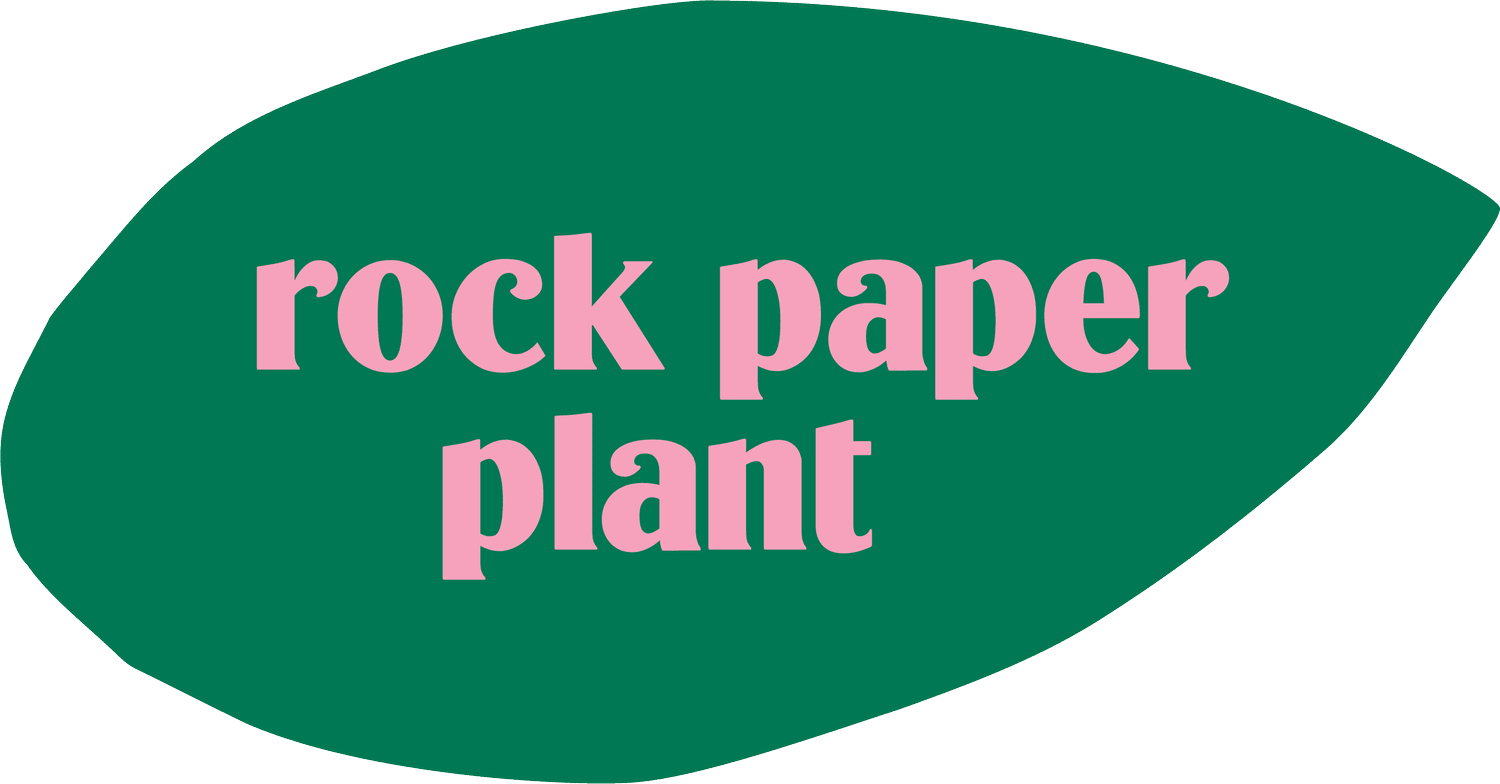 Rock Paper Plant