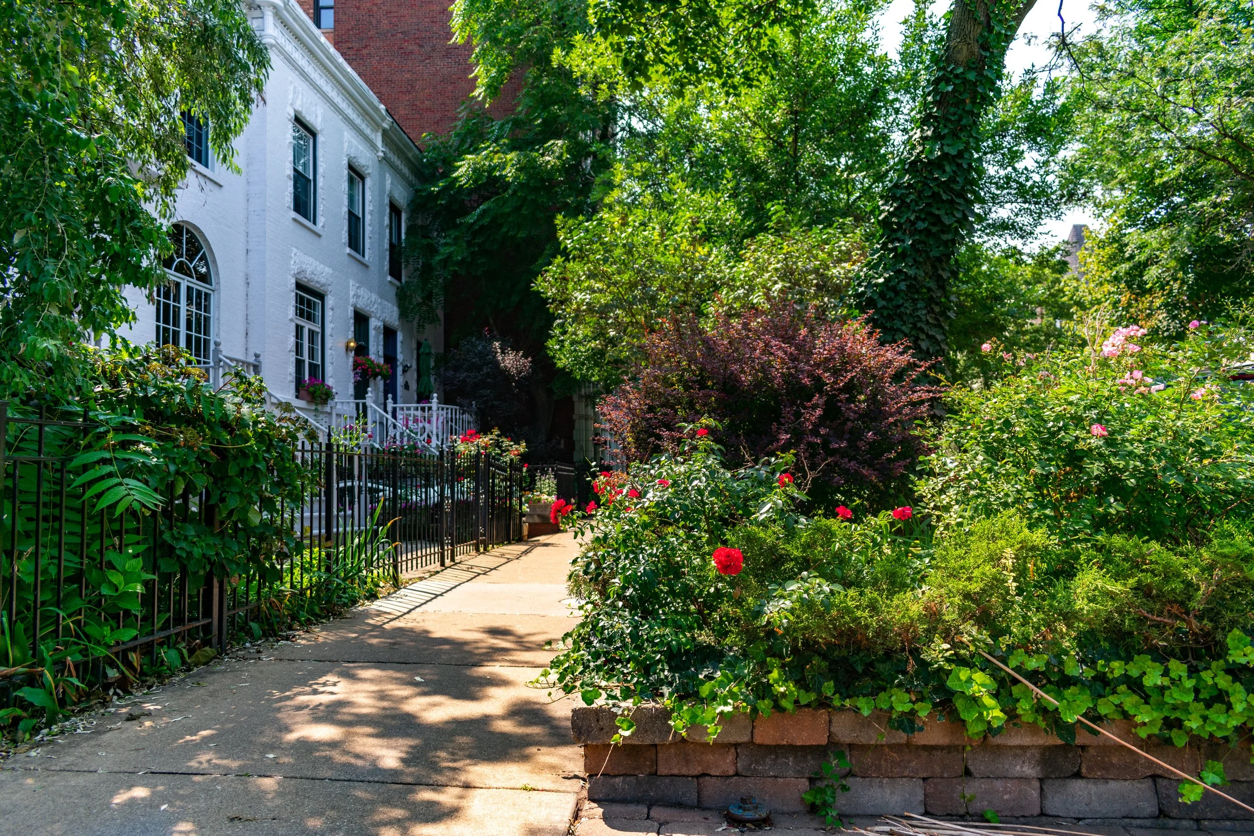 Residential street with a white brick house, lush garden with red and pink flowers, and a paved walkway surrounded by greenery.