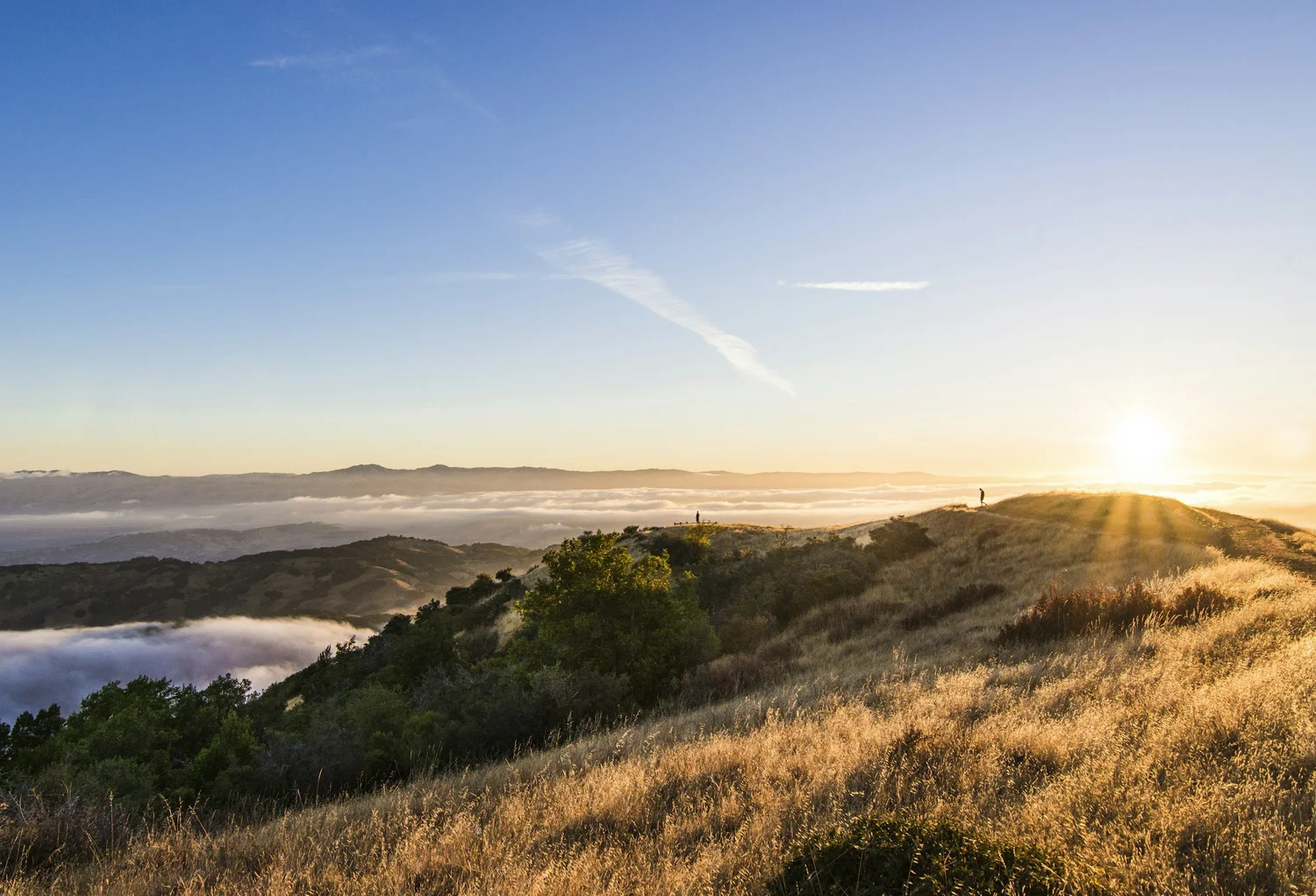 Warm sunlight across rolling hills and scattered trees
