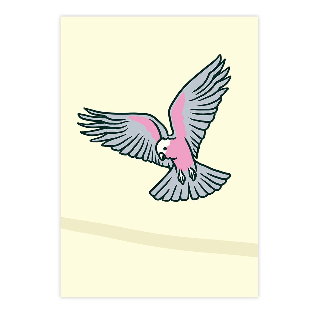 Kiel-Tillman-Galah-Art-Print-Product-Image.jpg
