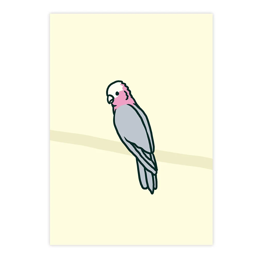 Kiel-Tillman-Galah-2-Art-Print-Product-Image.jpg