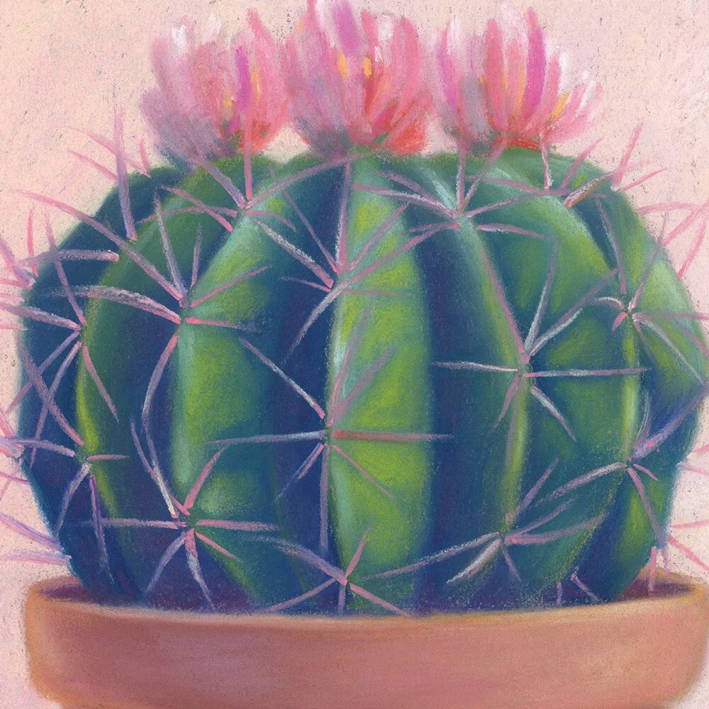 Susy-Boyer-Quiet-Cactus-art-print-2.jpg