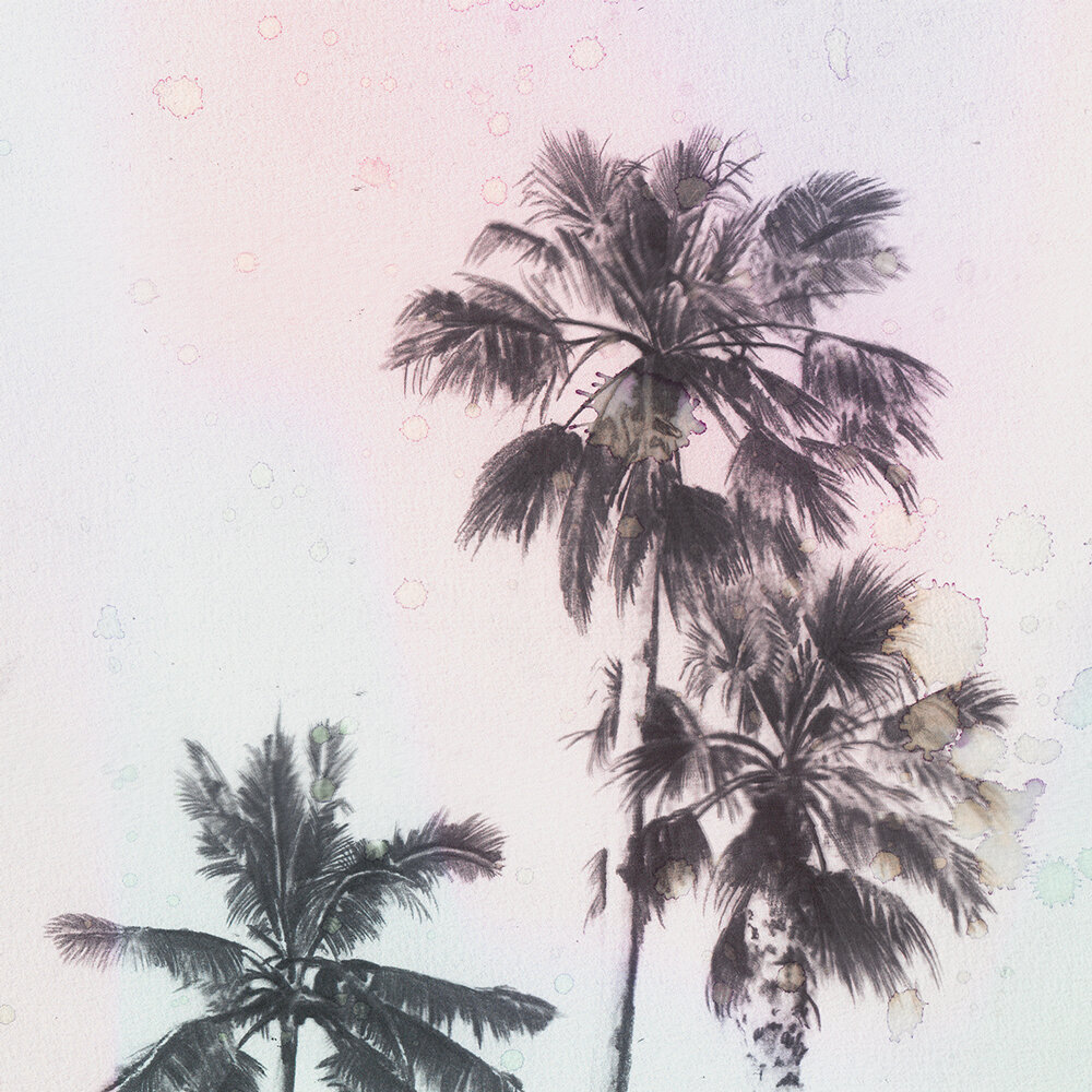 Hayley-O'Connor-palm-trees-water-colour-art-print-2.jpg