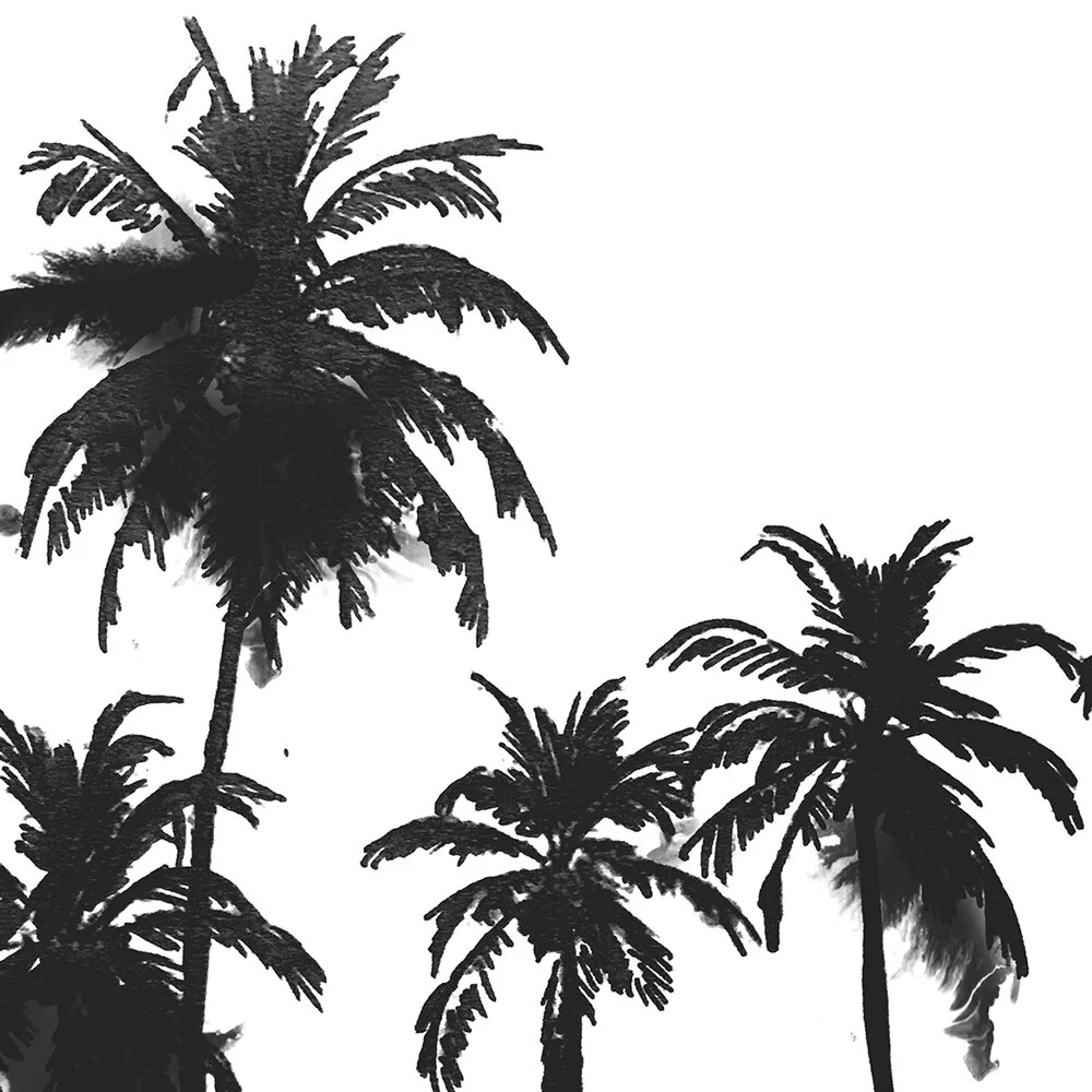 Hayley-O'Connor-palm-trees-black-white-art-print-2.jpg