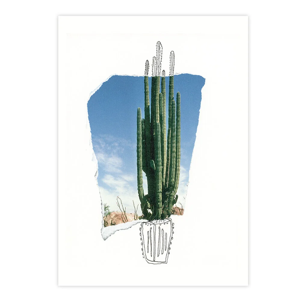 Michael-Stiegler-cactus-solo-Art-Print-Product-Image.jpg