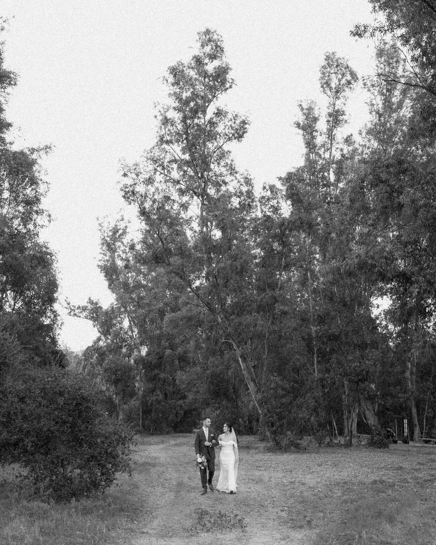 Becky &amp; Eddie&rsquo;s sweet, intimate wedding day. Tucked into the wooded foothills of Escondido, complete with a s&rsquo;mores bar, puppy love and late night churros ✨