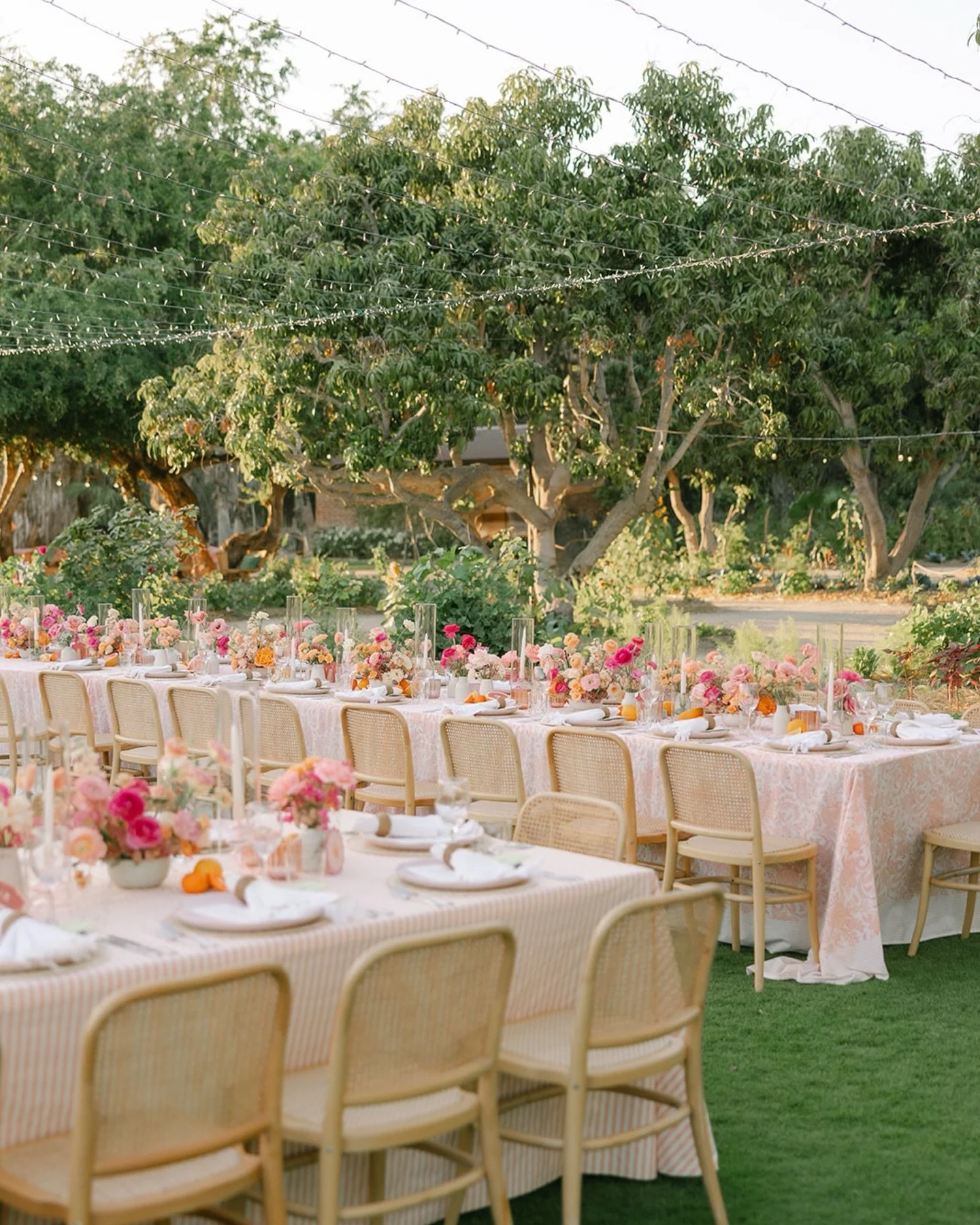 The colors we have all been dreaming of 🌸🌺

K&amp;C&rsquo;s wedding - 
@kendallgoldbergfilms 
@connorlambert.ac 
@amyabbottevents 
@jessicaroman___ 
@florafarmsweddings 
@ninablythe_ 
@mcneillfilms 
@cristinag__florals 
@secondsong_official 
@bells