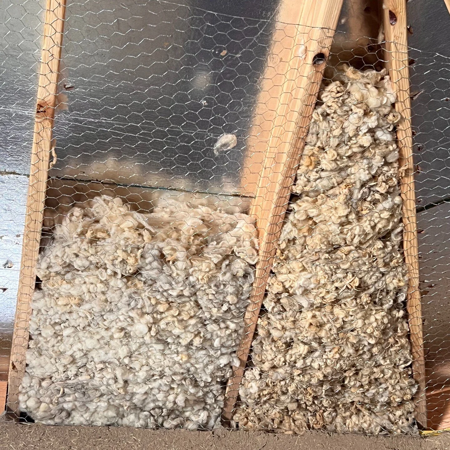 This past weekend we had the honor to host a "Sheep Wool Cleaning and Ceiling Insulation Workshop". We were happy to receive Sheep Wool donations from various community members who recently sheared their flock. All were happy to support our