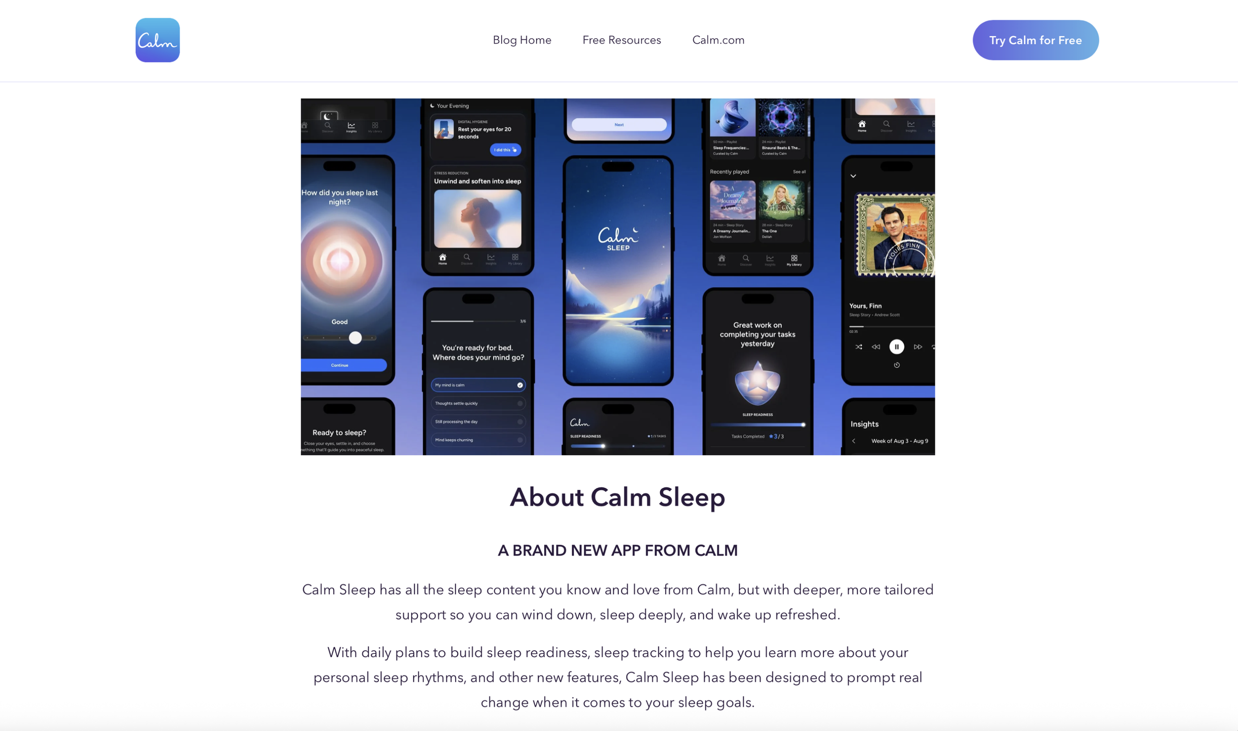 Calm Blog.png