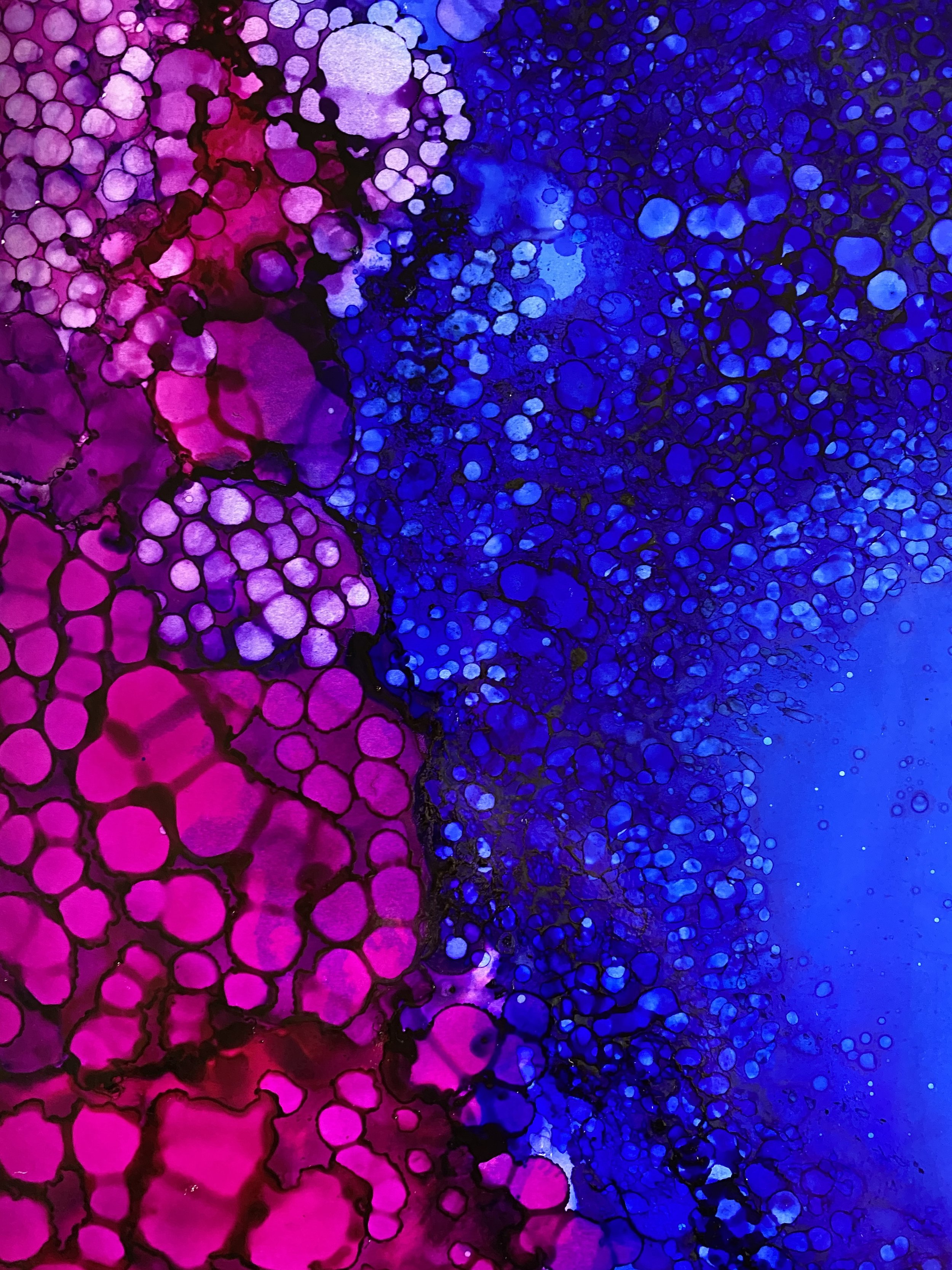 A485C044-28AD-4E48-804A-CF4D574134D1.jpeg