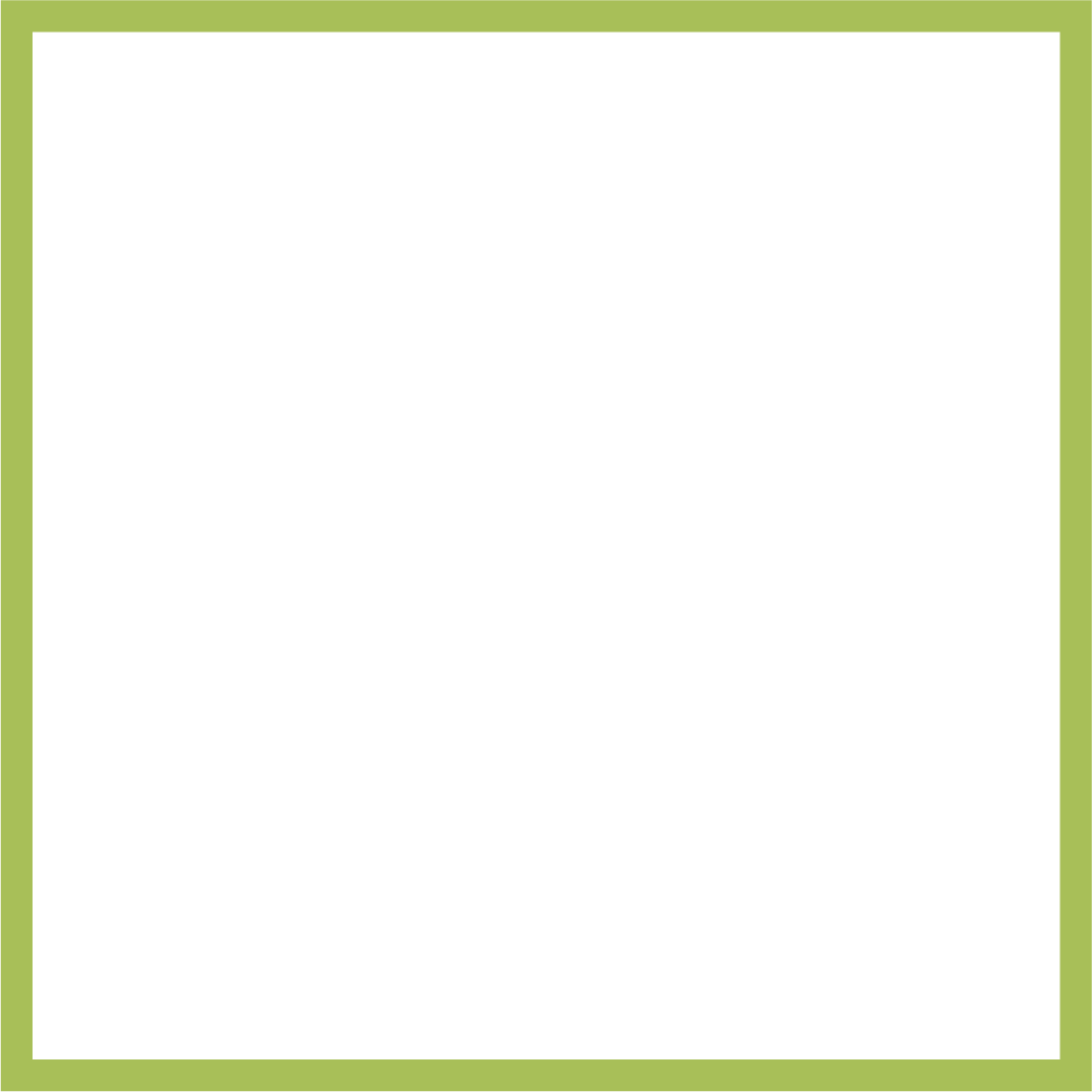 Mentoring Projects