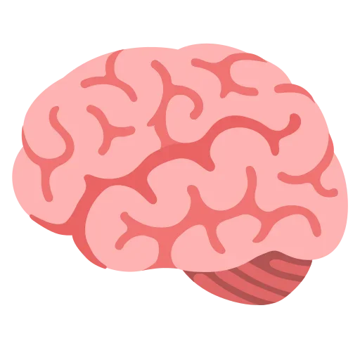 Illustration of a human brain in pink with detailed folds and grooves.
