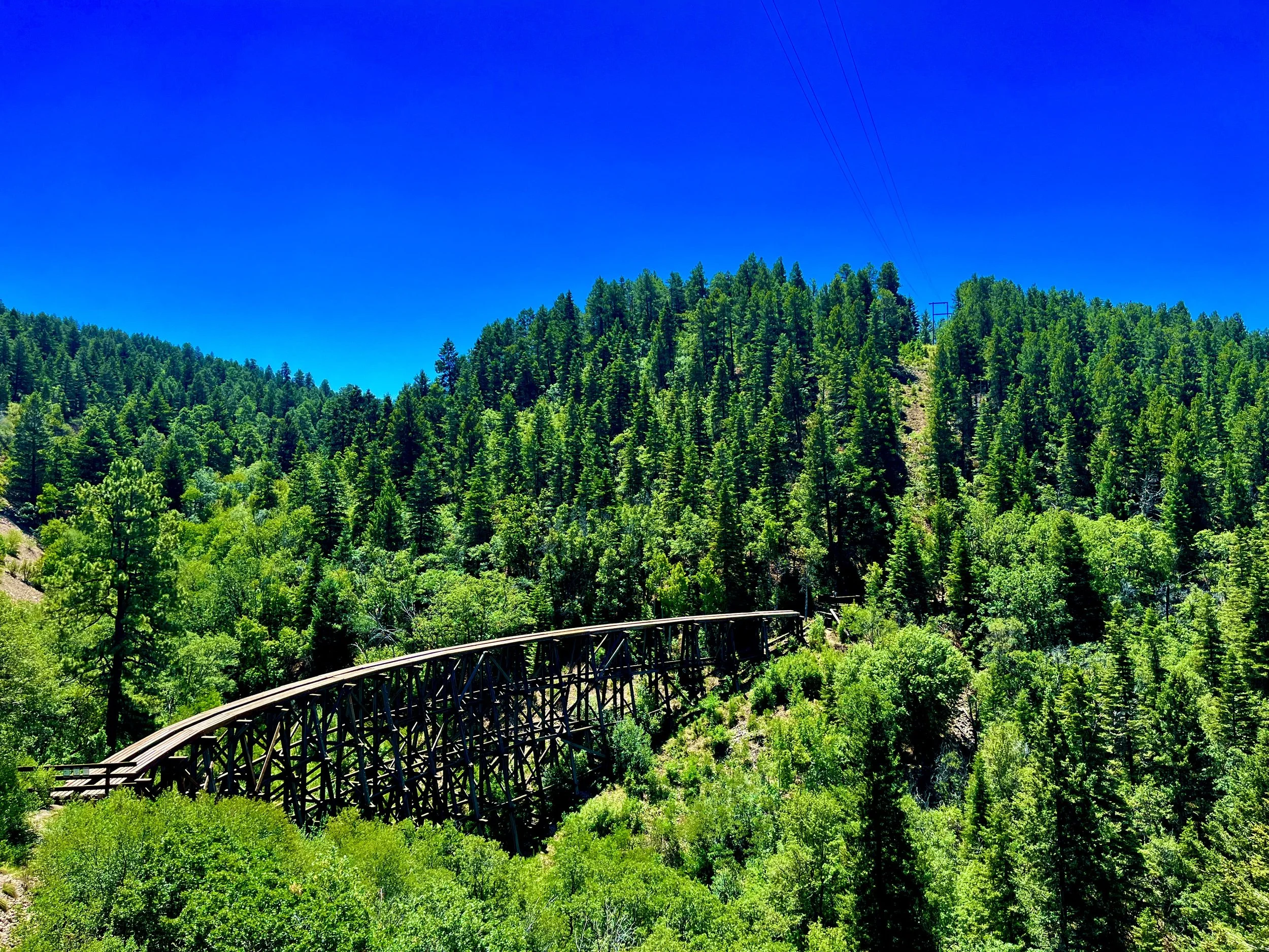 Photograph of an abandoned logging and passenger railroad trestle near Cloudcroft, New Mexico, surrounded by forested landscape.