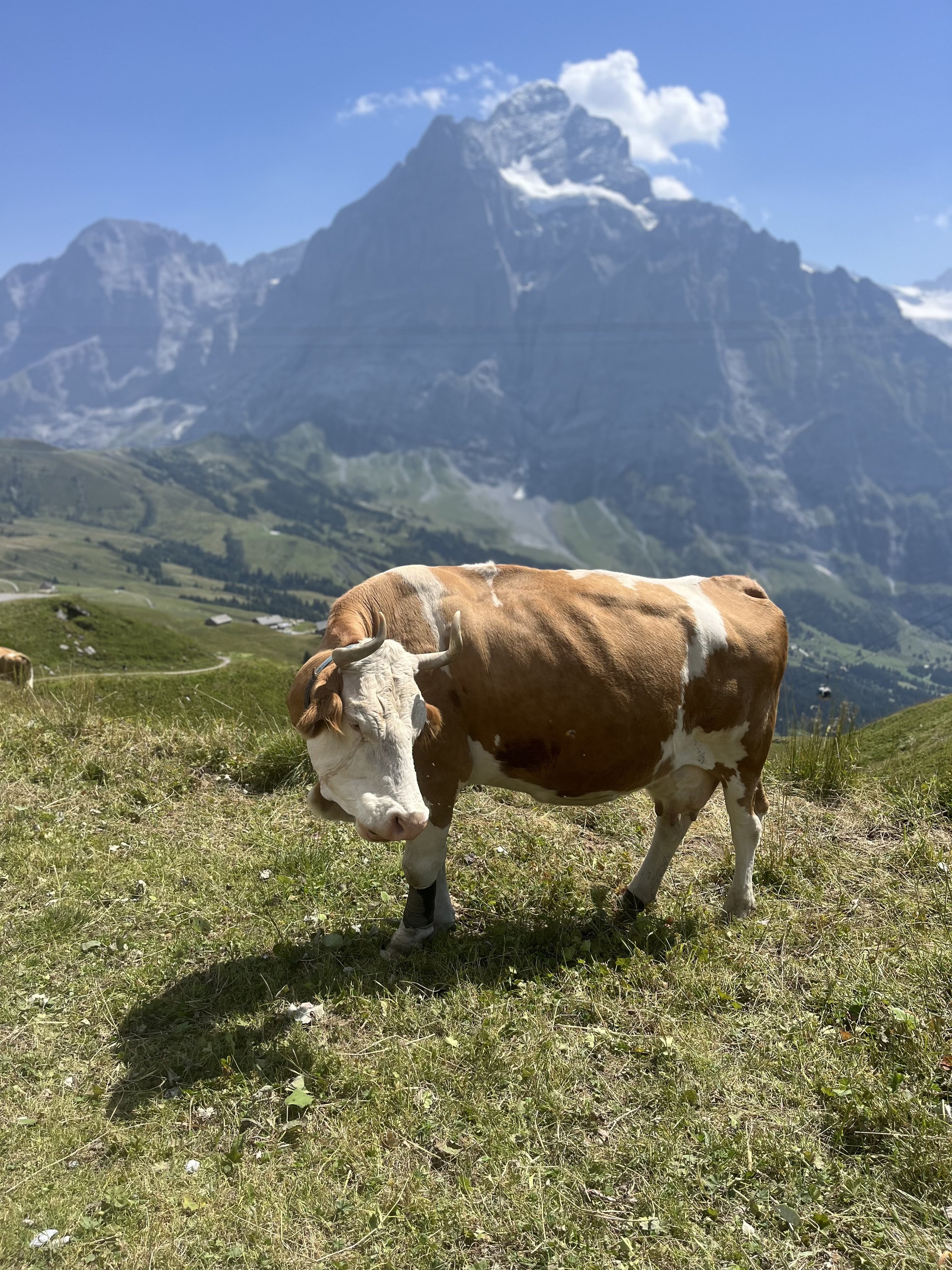 Professional photography production by Matthew McCullough