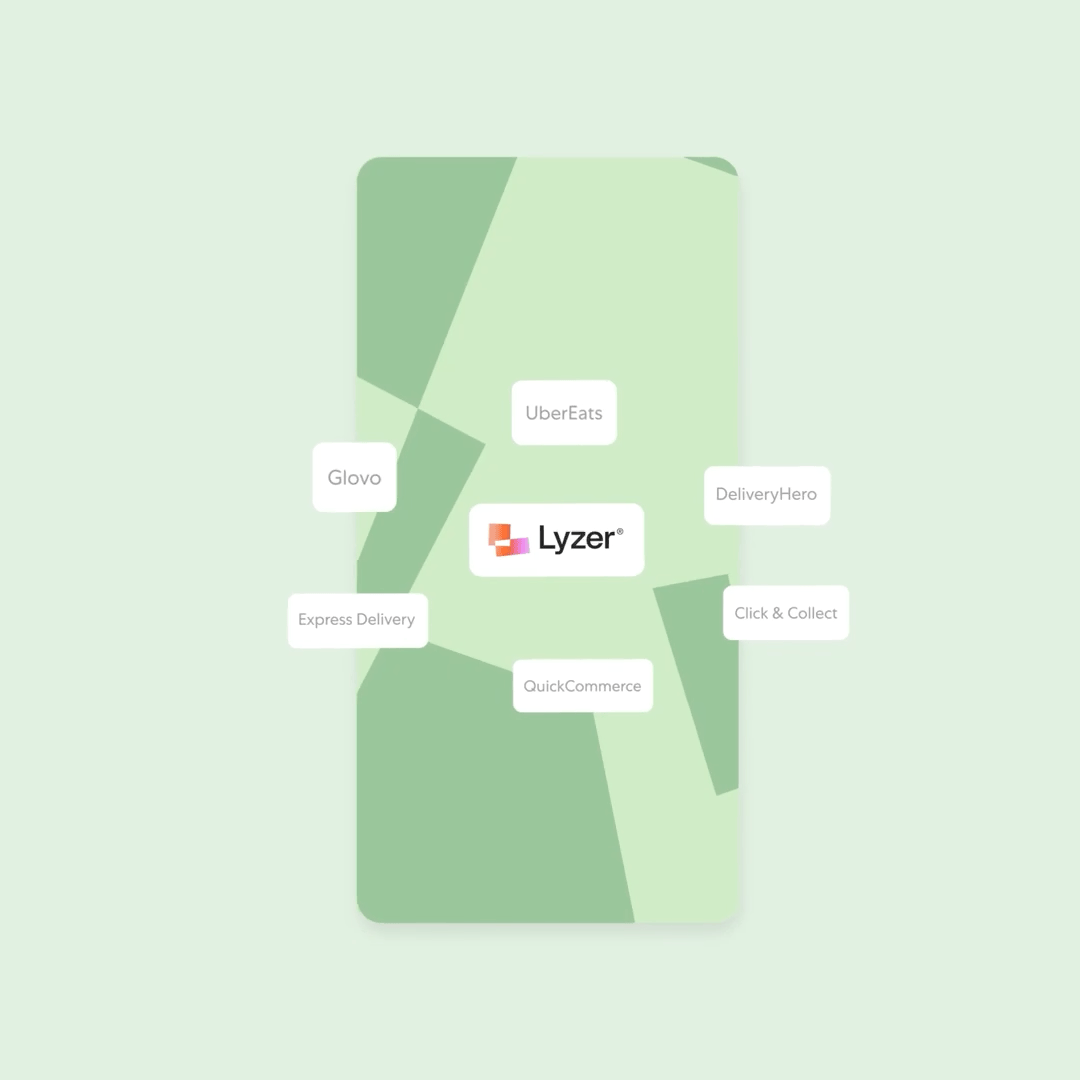 Lyzer_gif05.gif
