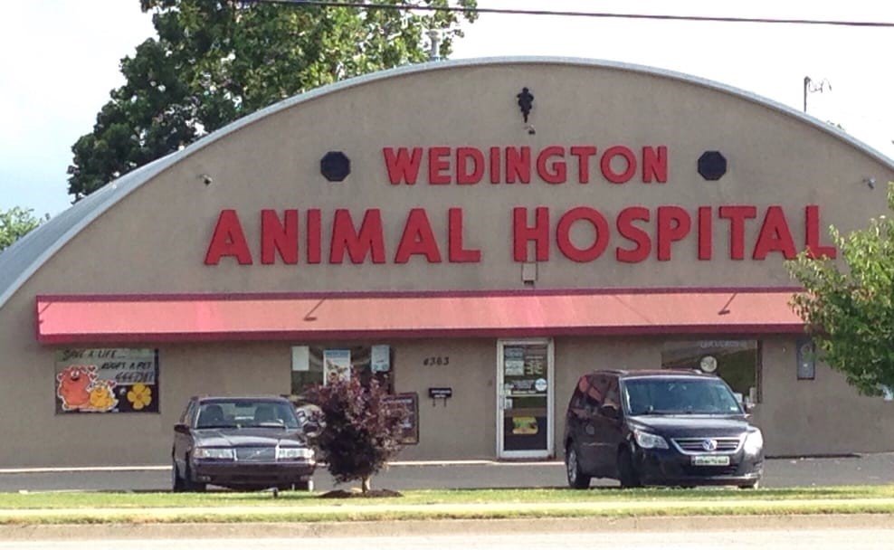 wedington-animal-hospital-1.jpg