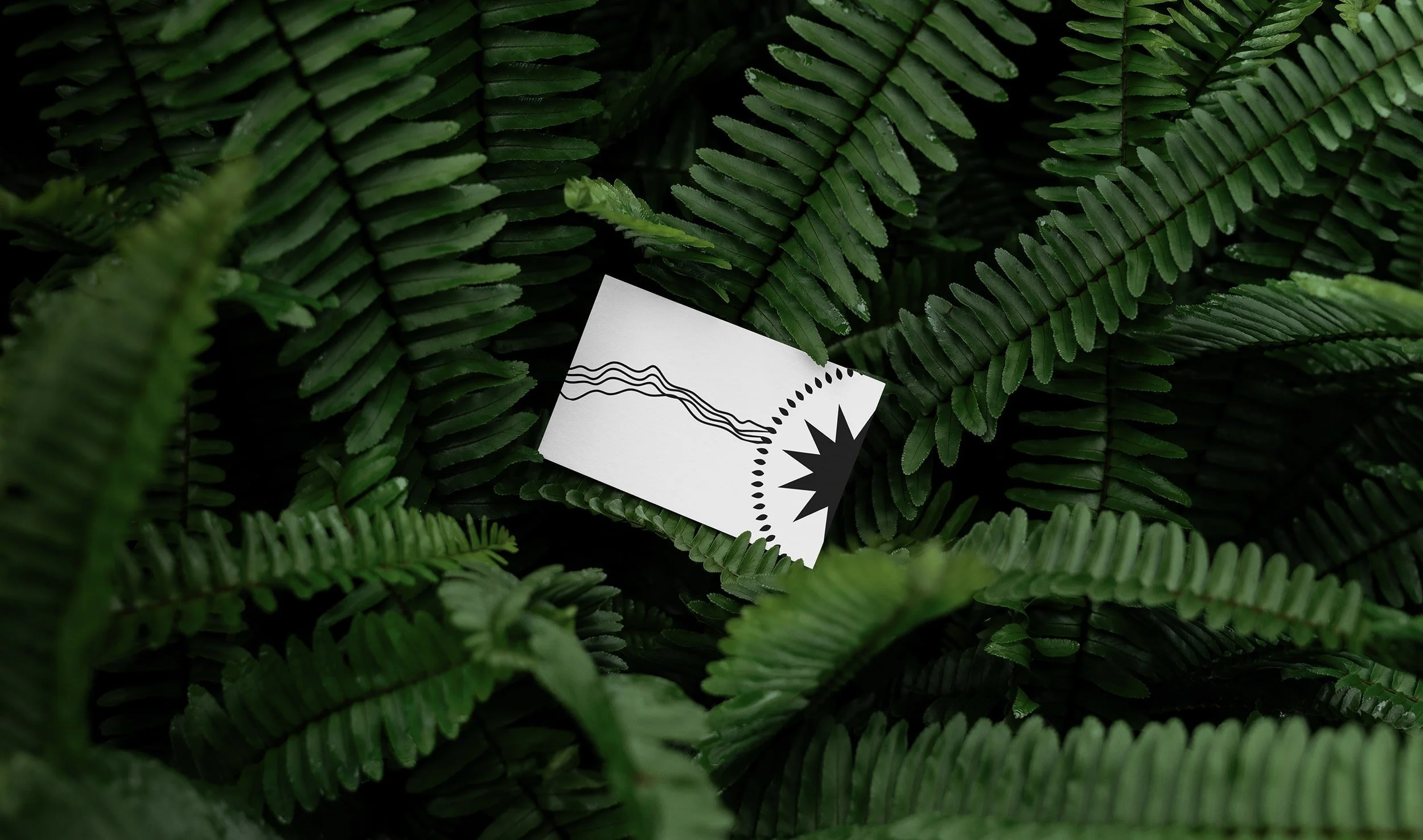 An abstract design on a rectangular card placed among green fern leaves.